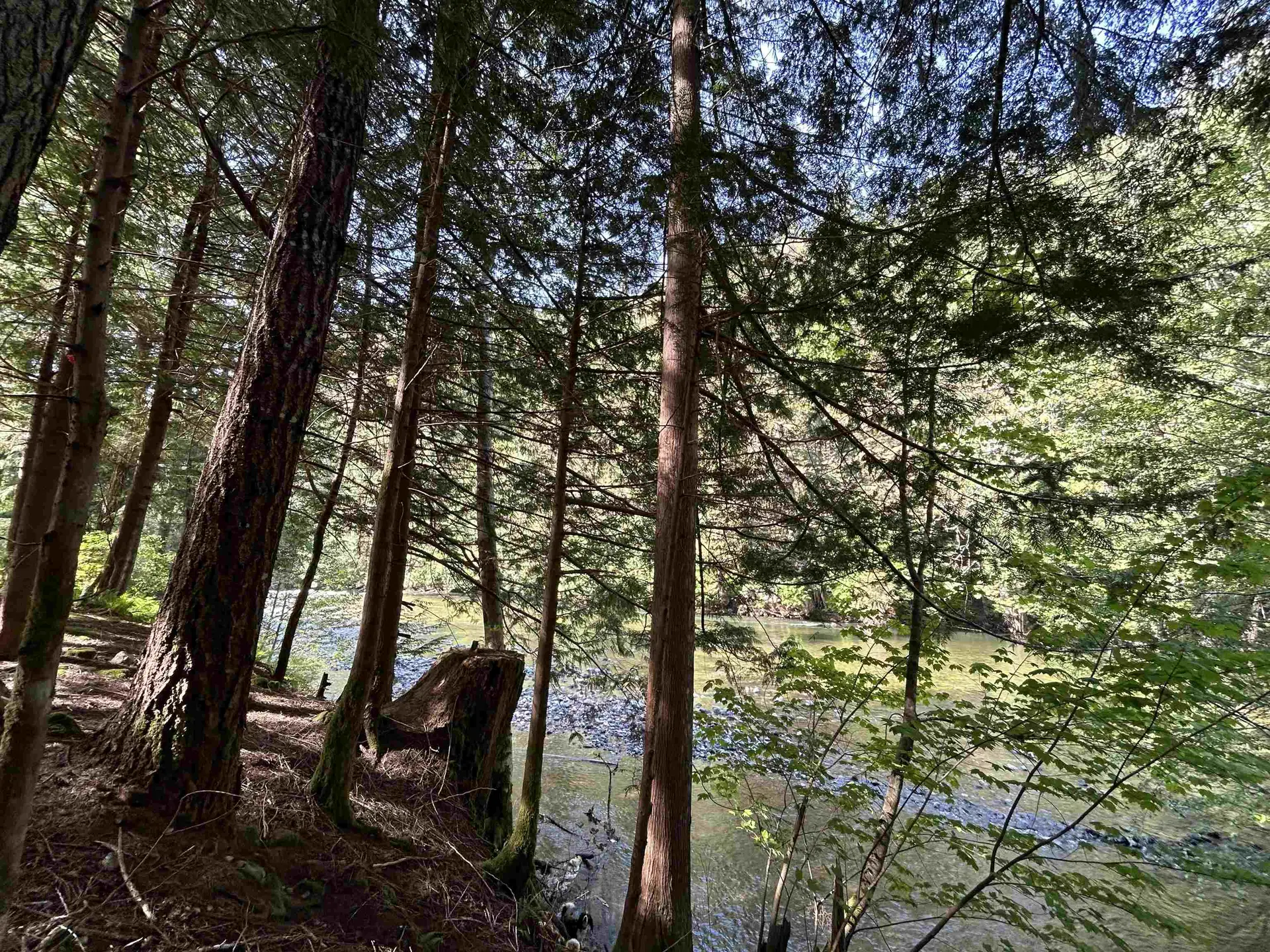 Property at 9063 PARADISE VALLEY ROAD, Squamish, BC