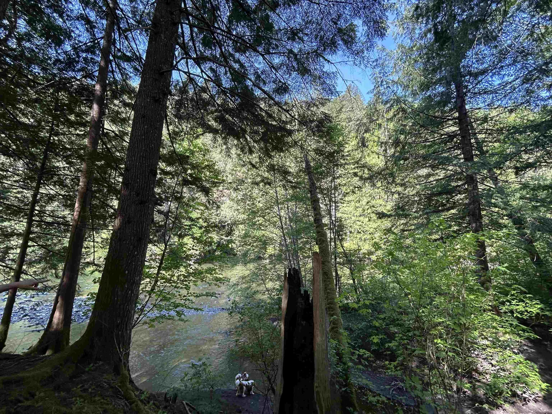 Property at 9063 PARADISE VALLEY ROAD, Squamish, BC