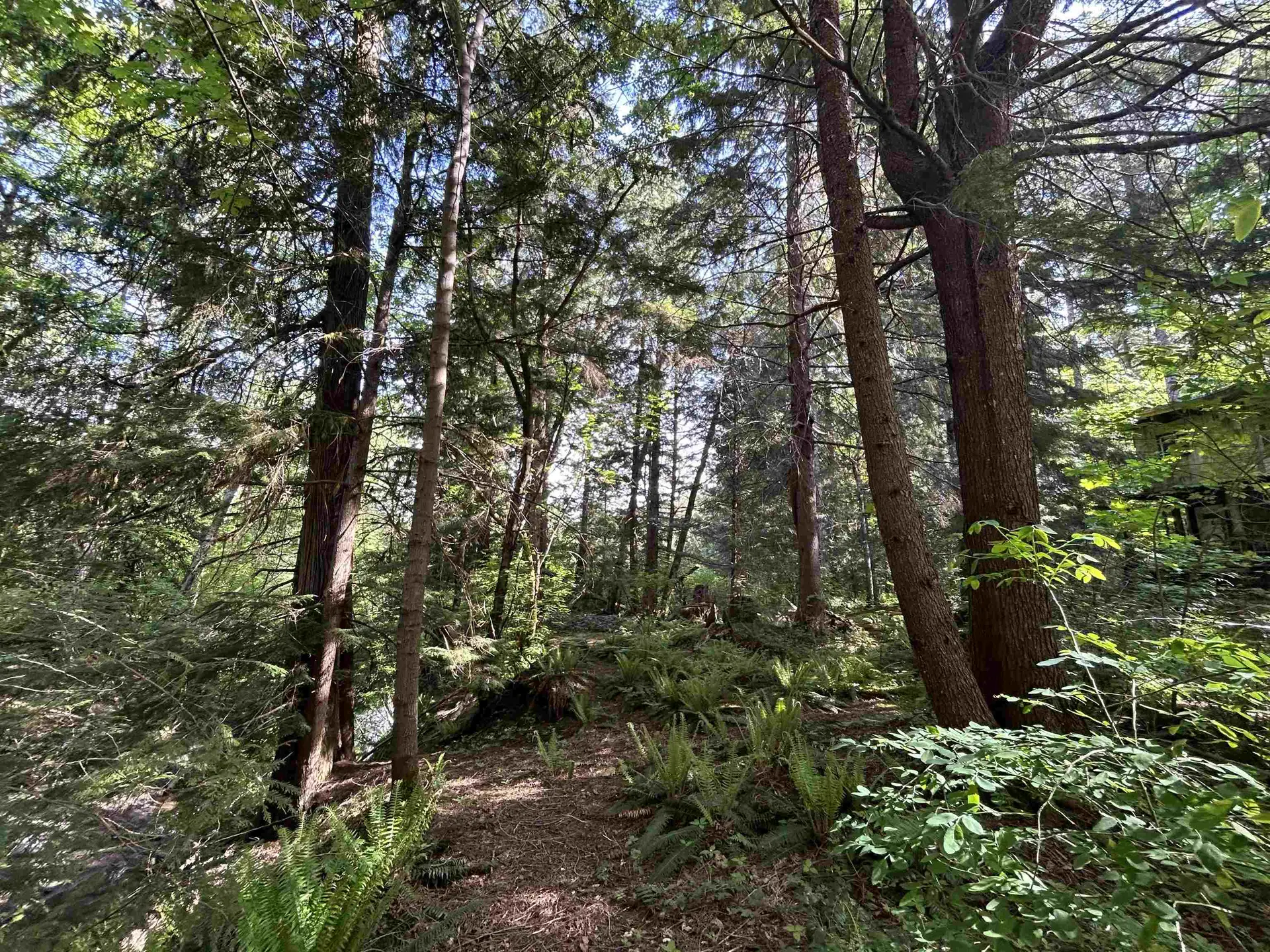 Property at 9063 PARADISE VALLEY ROAD, Squamish, BC