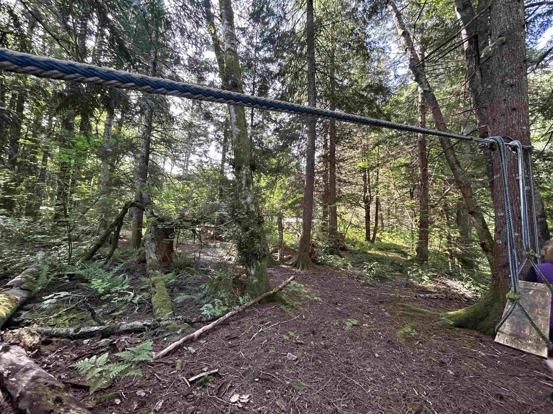 Property at 9063 PARADISE VALLEY ROAD, Squamish, BC