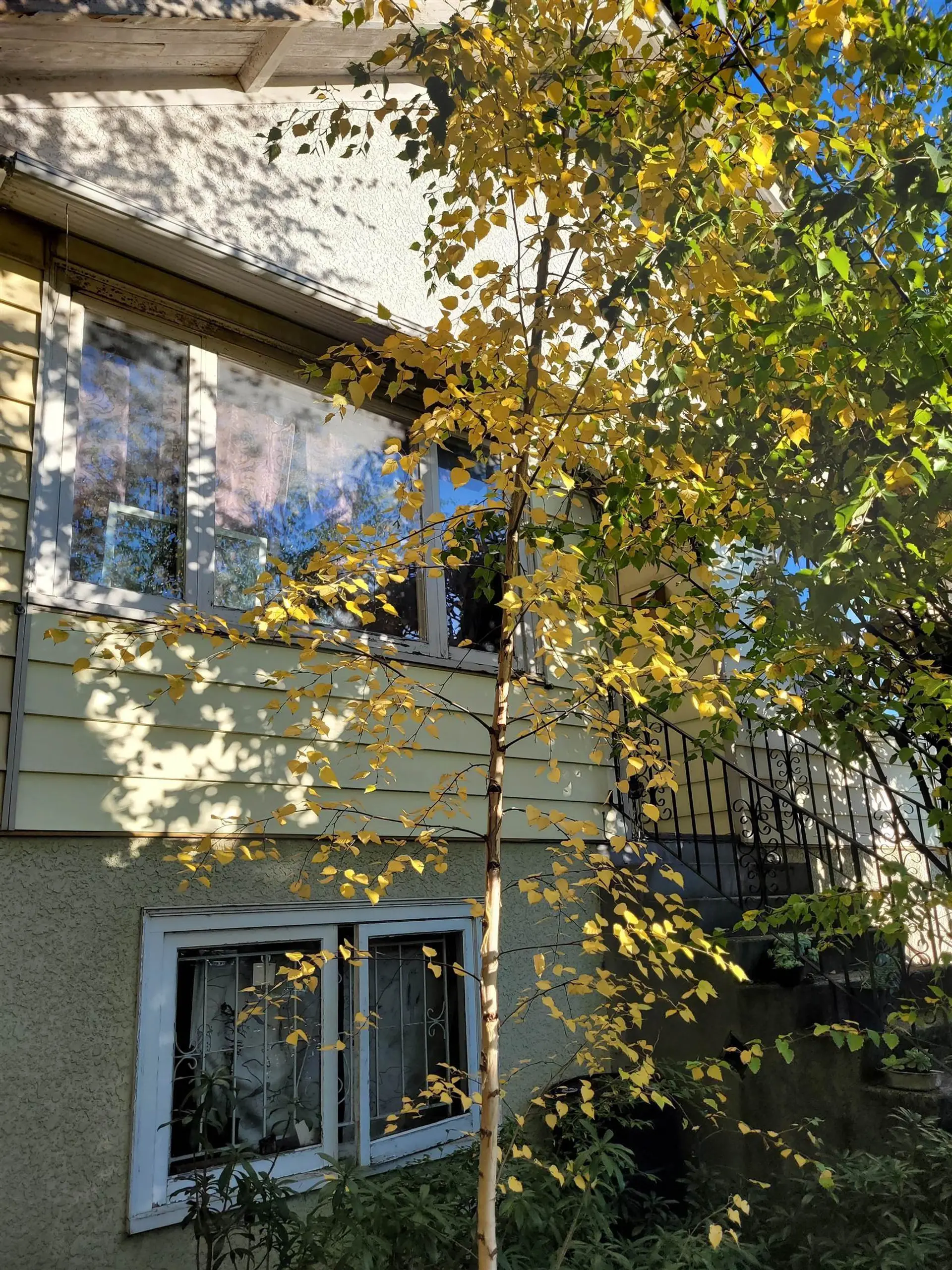 Property at 6084 CHESTER STREET, Vancouver, BC