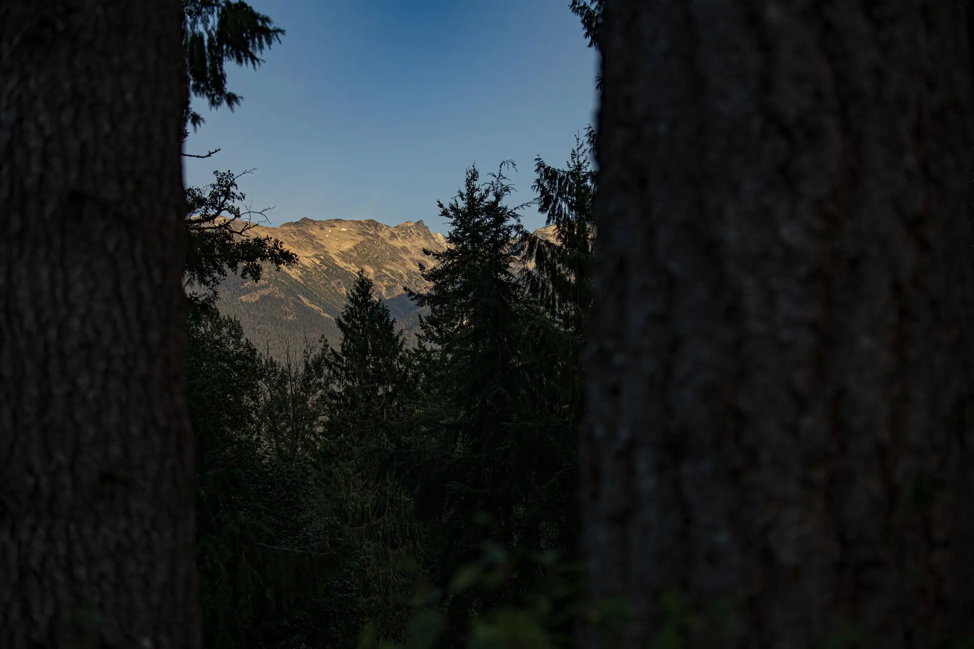 Property at 8270 MOUNTAIN VIEW DRIVE, Whistler, BC