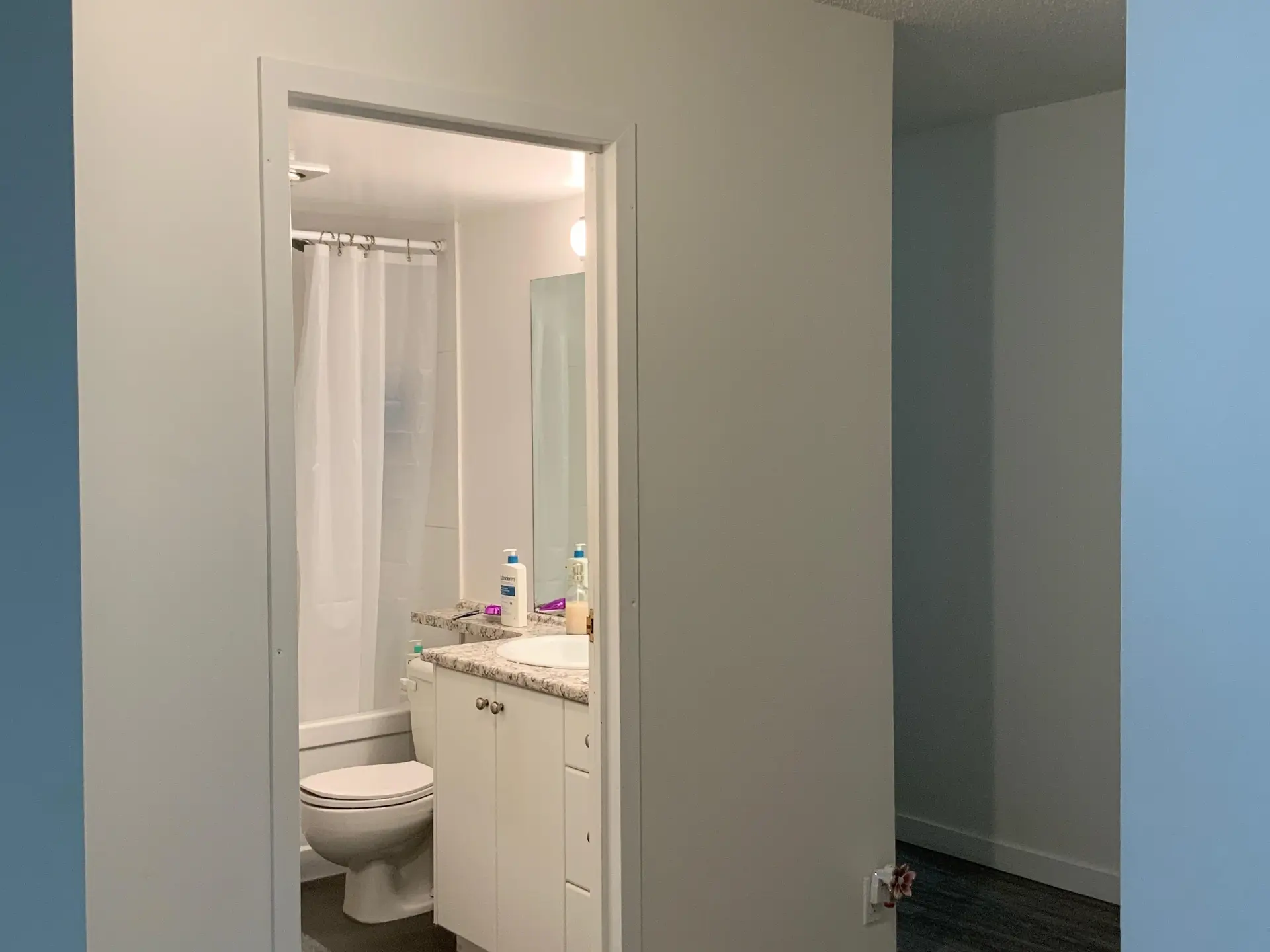 Property at #206 3760 ALBERT STREET, Burnaby, BC