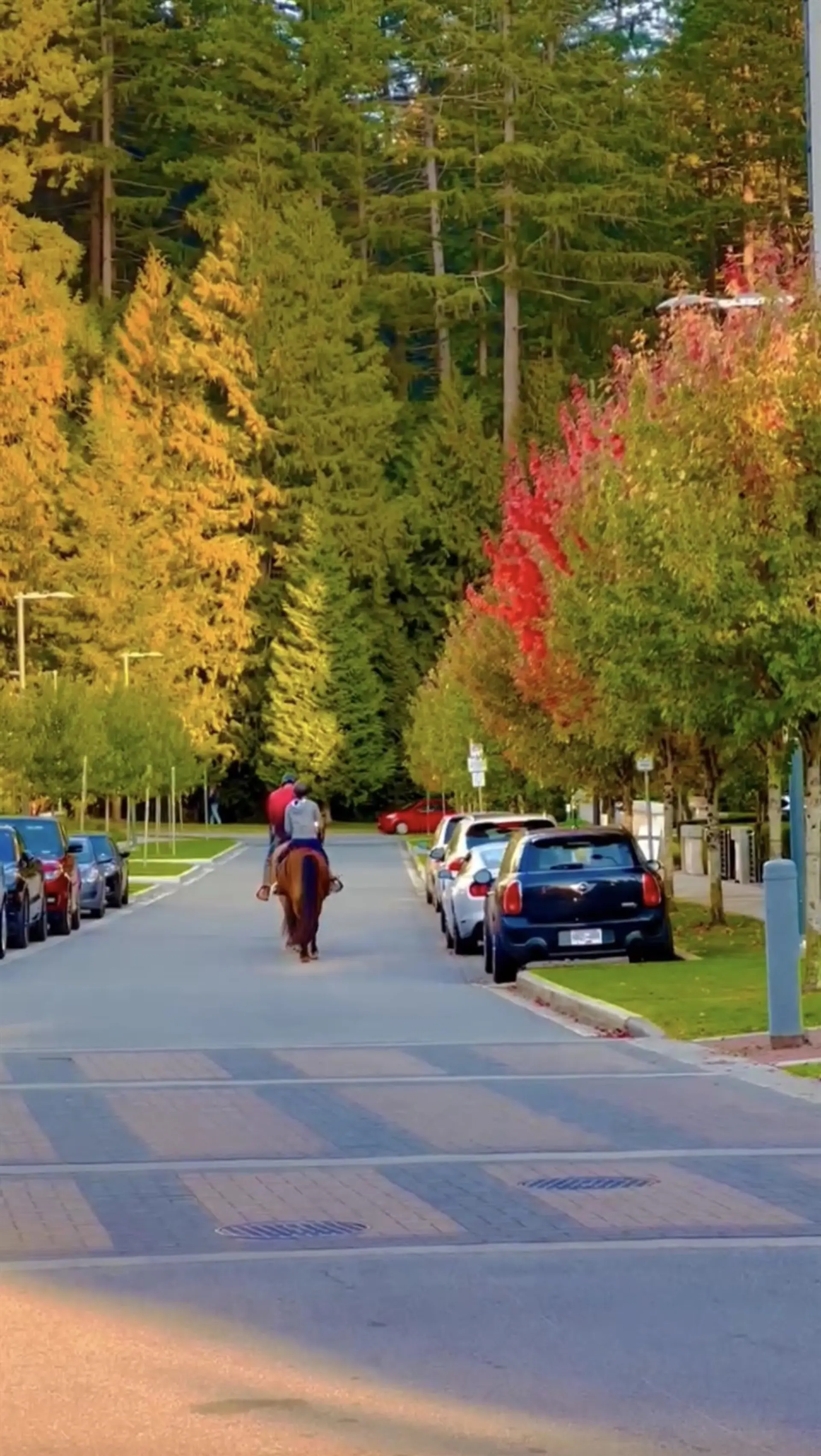 Property at #110 5728 BERTON AVENUE, Vancouver, BC