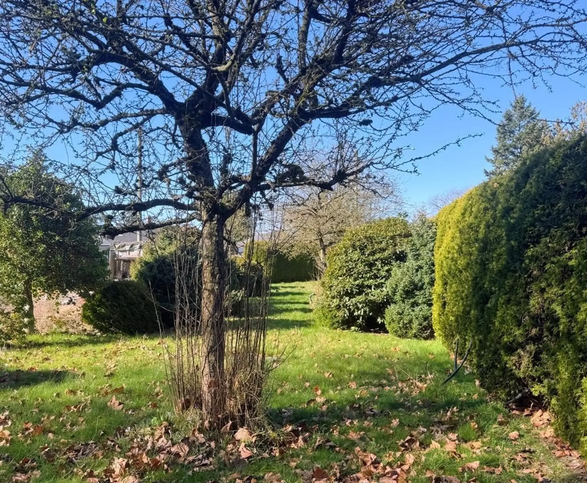 Property at 2560 WELLINGTON CRESCENT, Richmond, BC