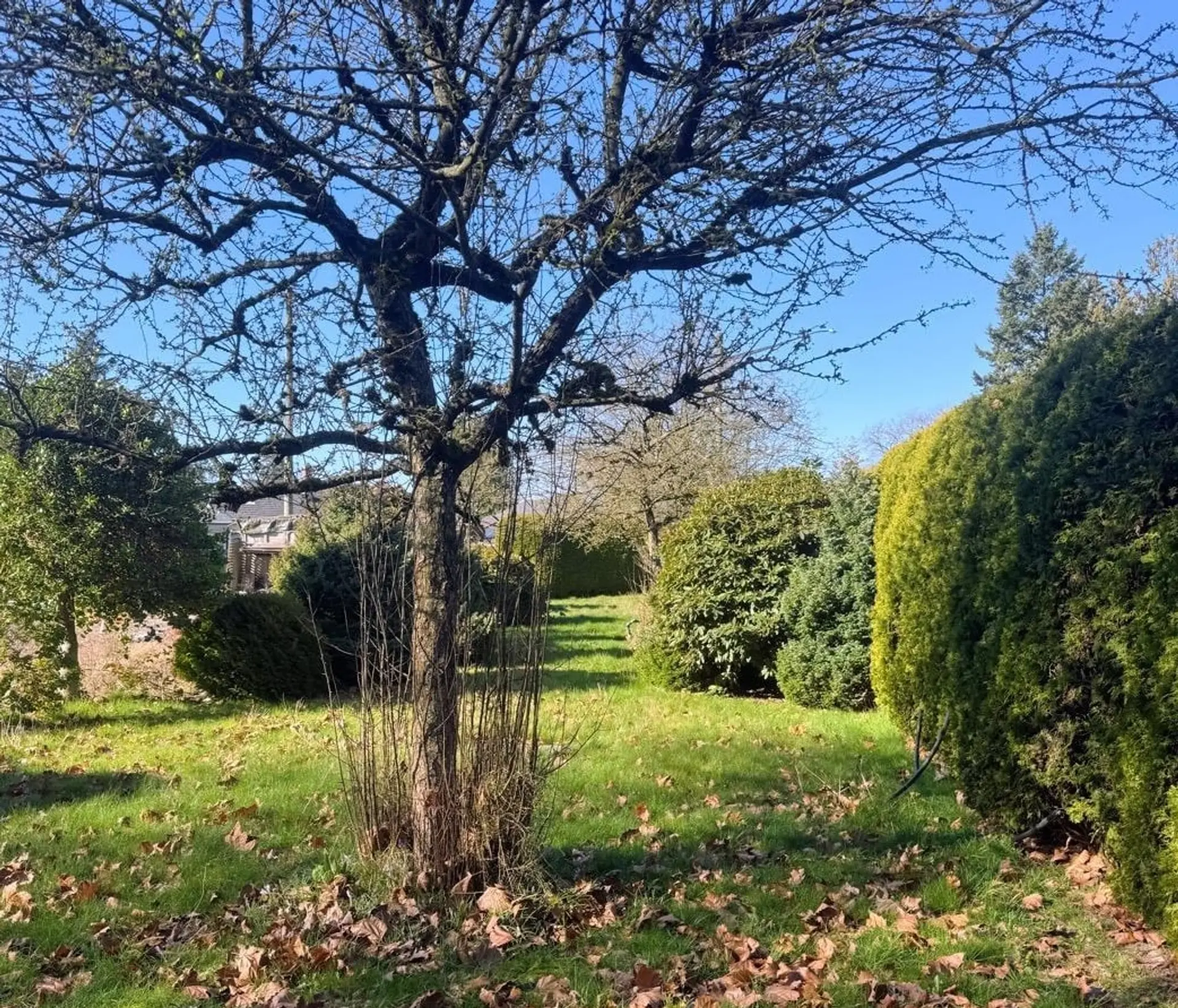 Property at 2600 WELLINGTON CRESCENT, Richmond, BC