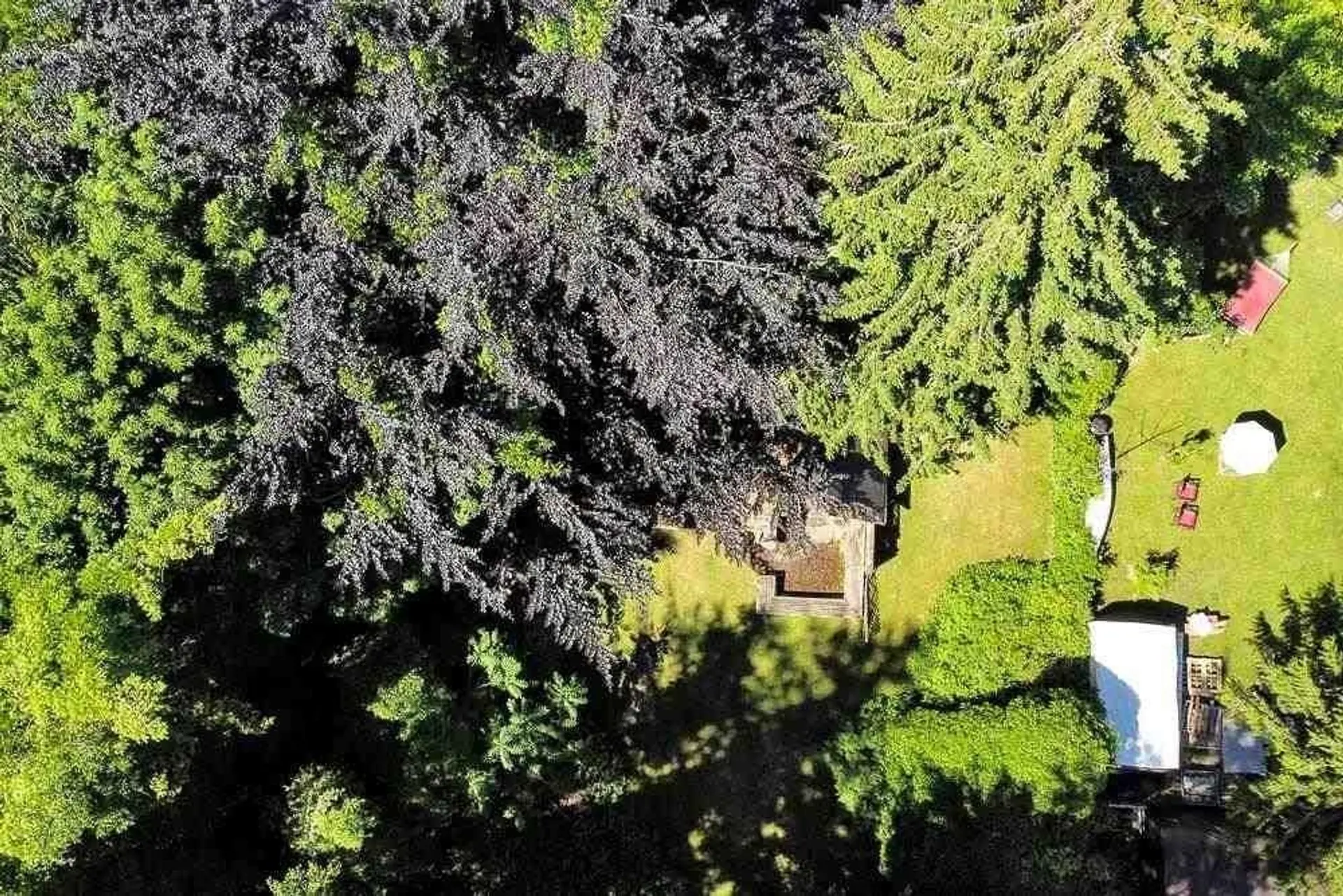 Property at 24742 100 AVENUE, Maple Ridge, BC