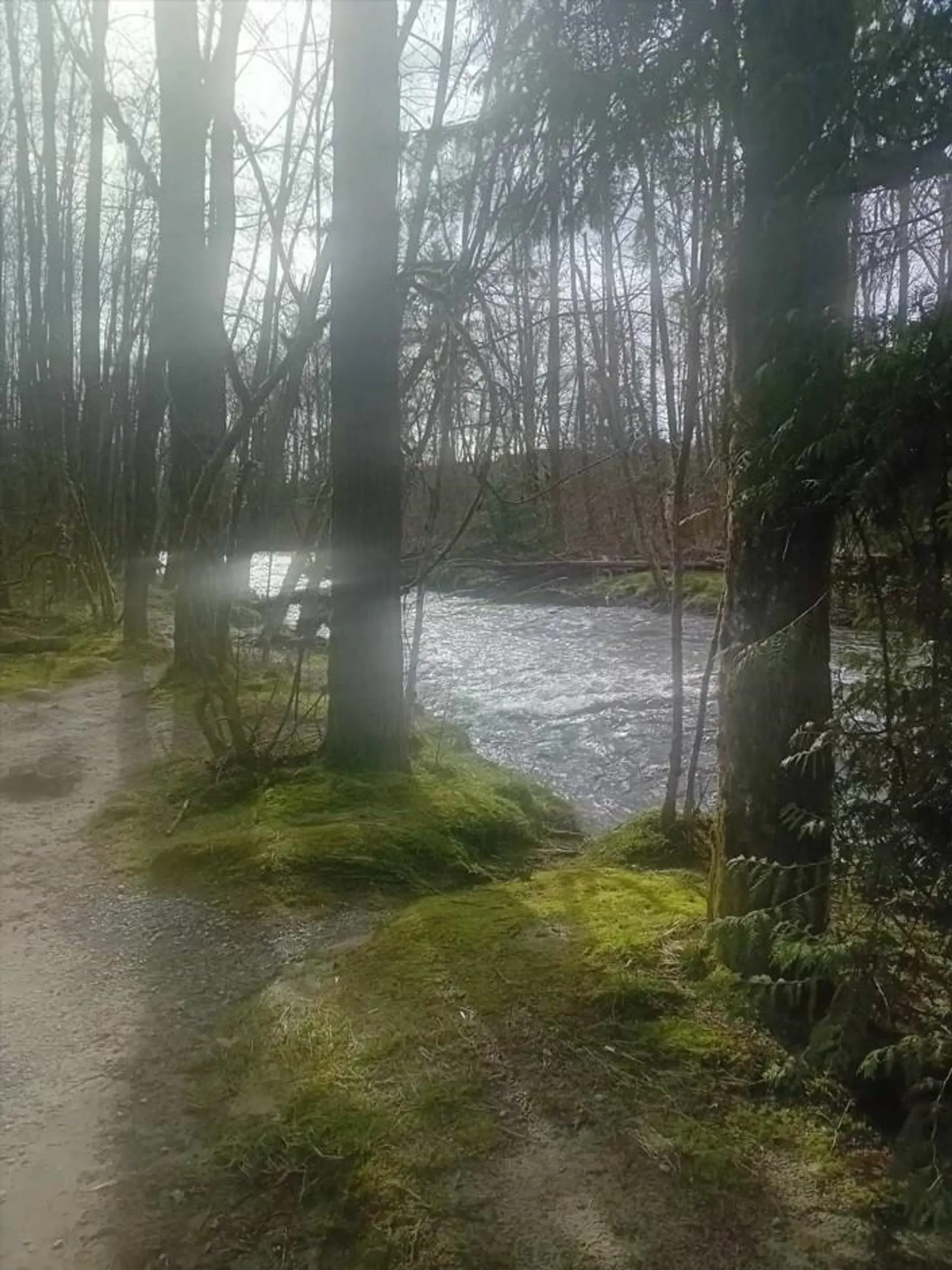 Property at #1 3171 FLINT STREET, Port Coquitlam, BC