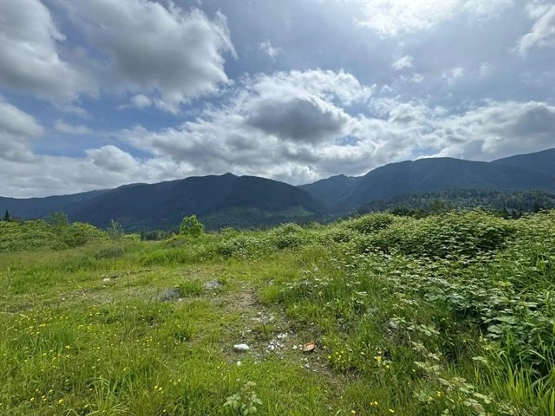 Property at 12408 SEUX ROAD, Mission, BC