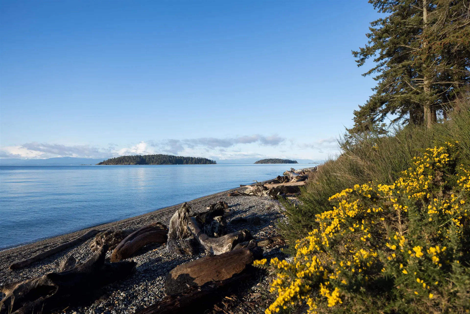 Property at 5845 SUNSHINE COAST HIGHWAY, Sechelt, BC