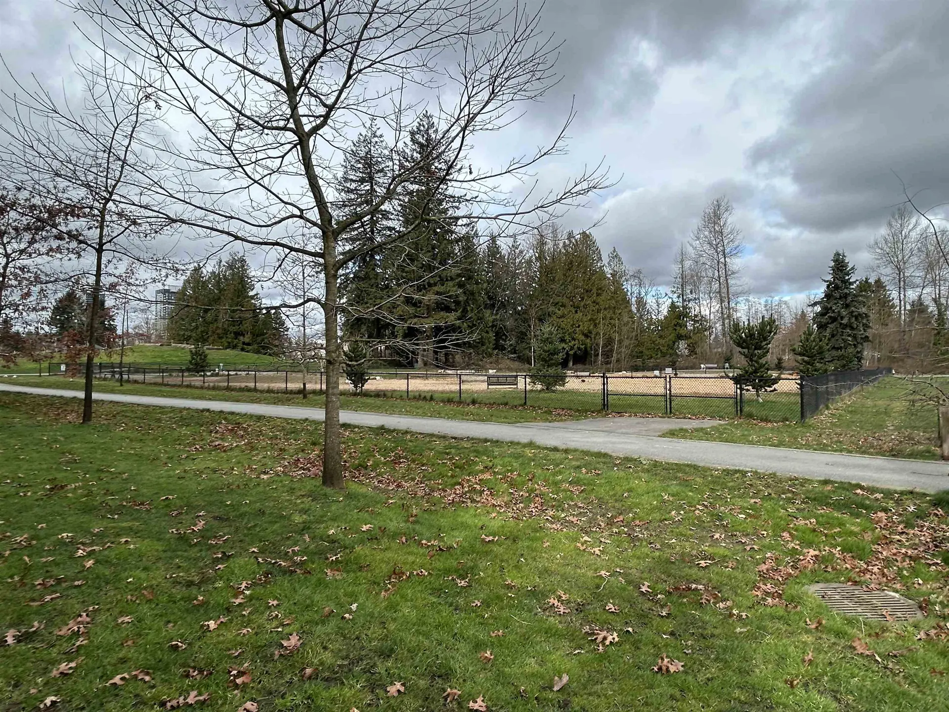 Property at #512 10603 140 STREET, Surrey, BC