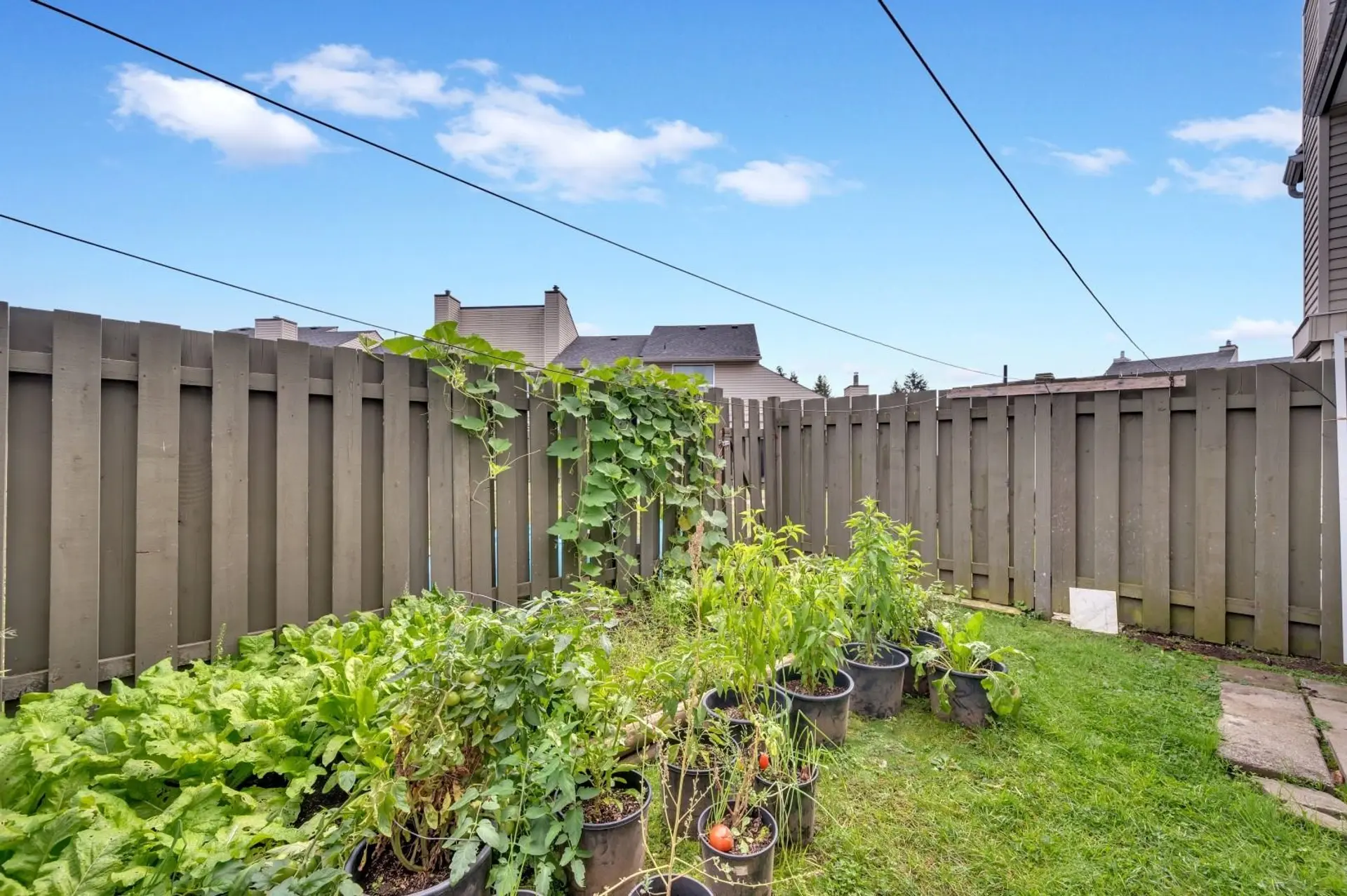 Property at #177 32550 MACLURE ROAD, Abbotsford, BC