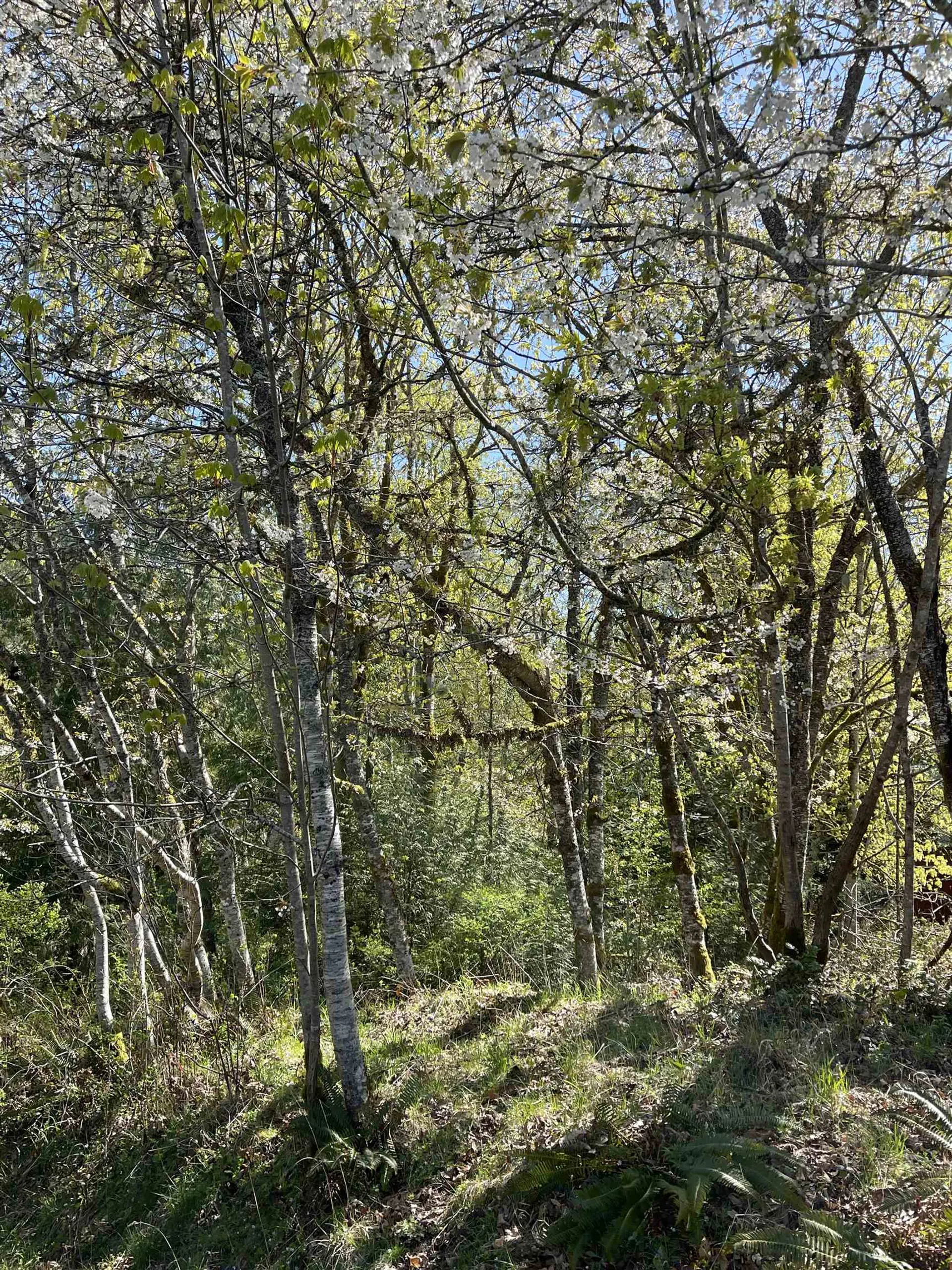 Property at 105 SUNSET BOULEVARD, Saturna Island, BC