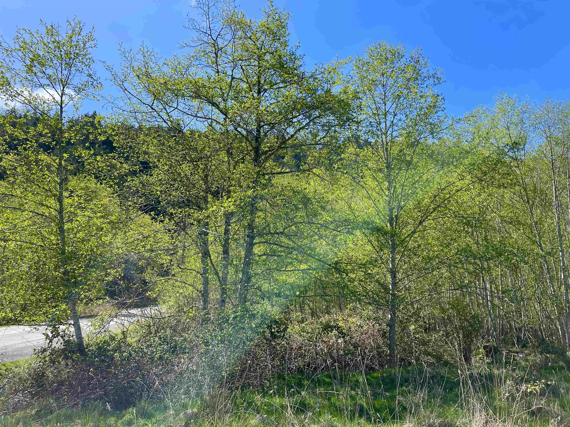 Property at 105 SUNSET BOULEVARD, Saturna Island, BC