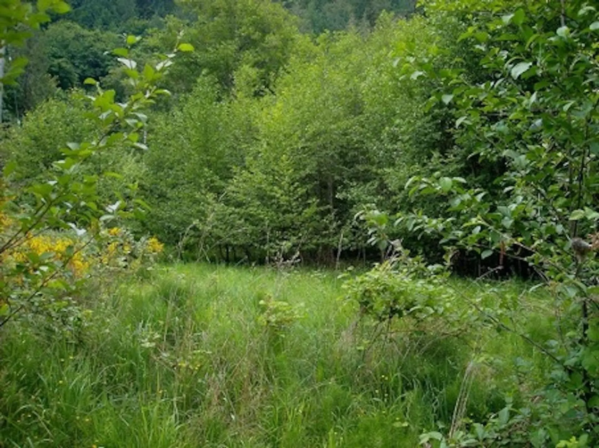 Property at 105 SUNSET BOULEVARD, Saturna Island, BC