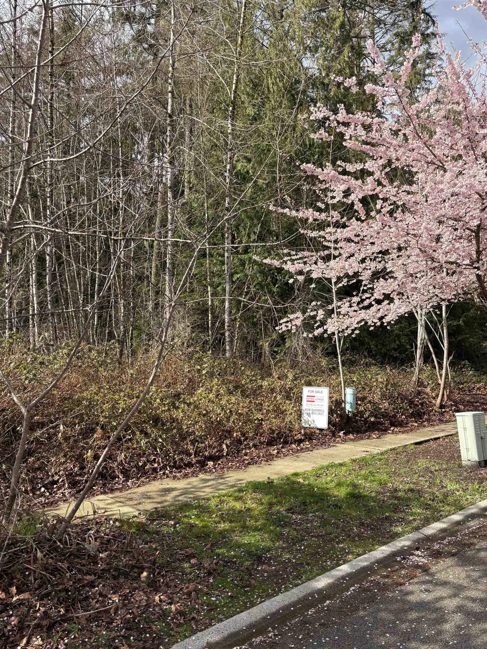 Property at 13395 237A STREET, Maple Ridge, BC