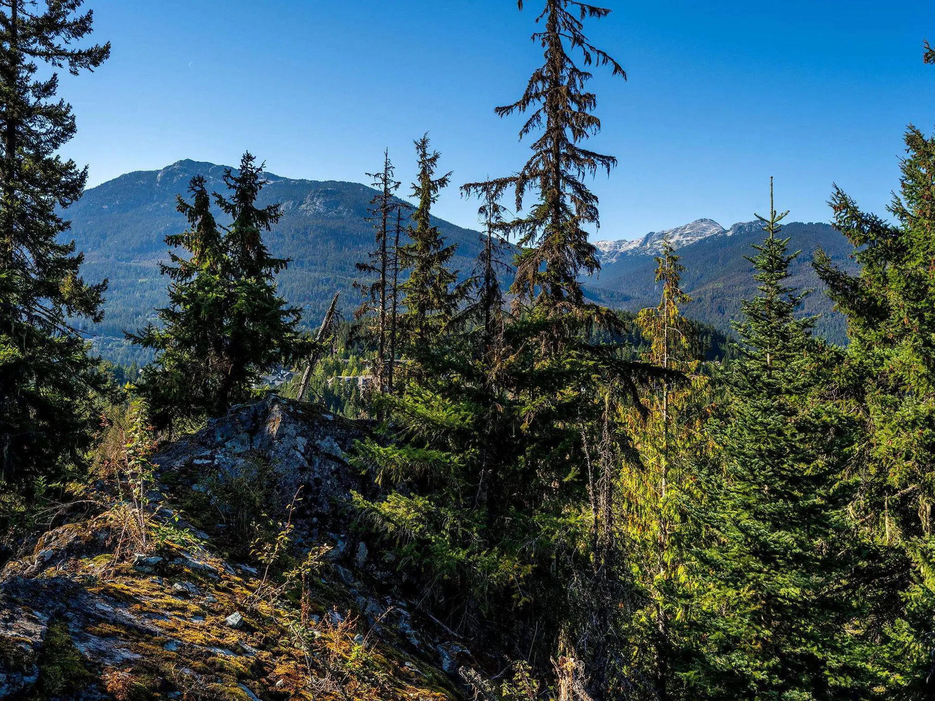 Property at 3853 SUNRIDGE COURT, Whistler, BC