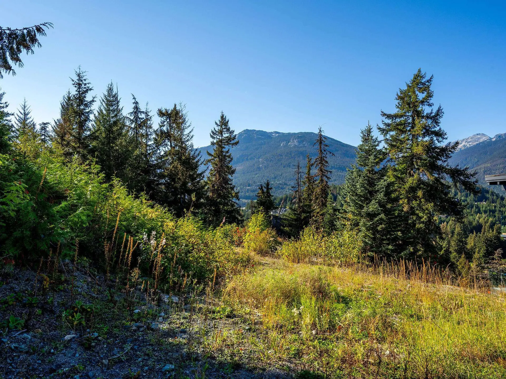 Property at 3853 SUNRIDGE COURT, Whistler, BC