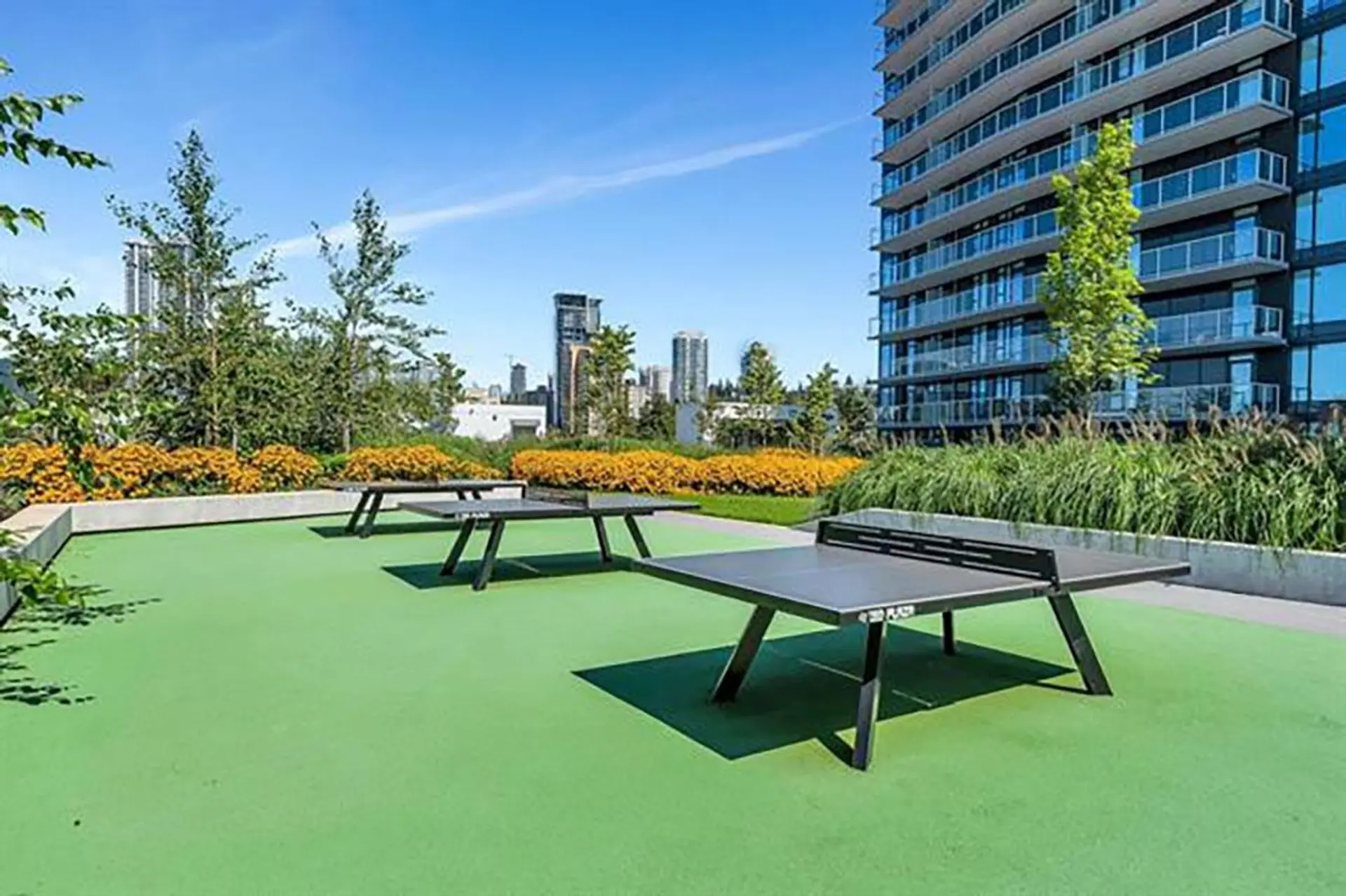 Property at #1009 308 ALDERSON AVENUE, Coquitlam, BC