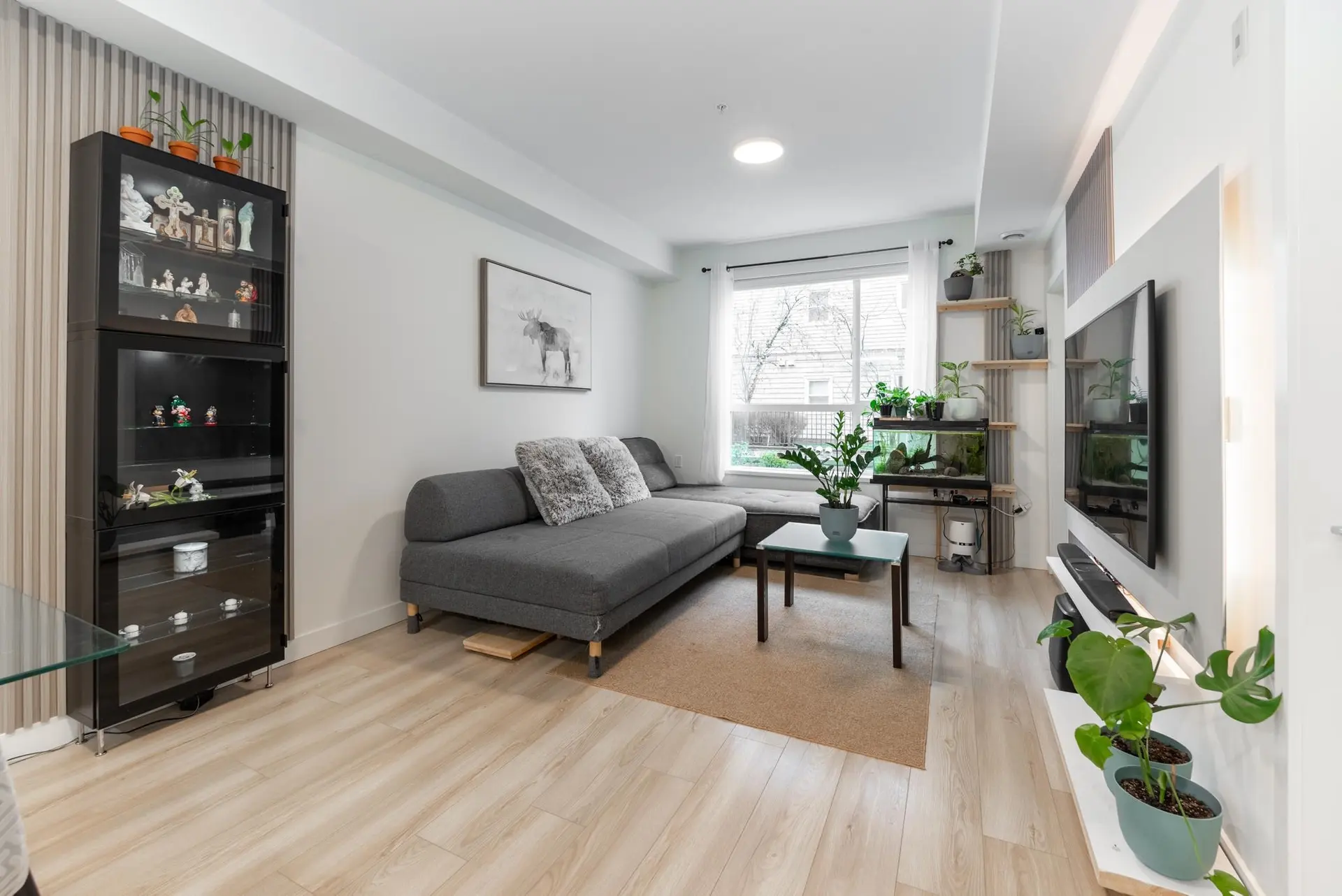 Property at #105 11913 BURNETT STREET, Maple Ridge, BC