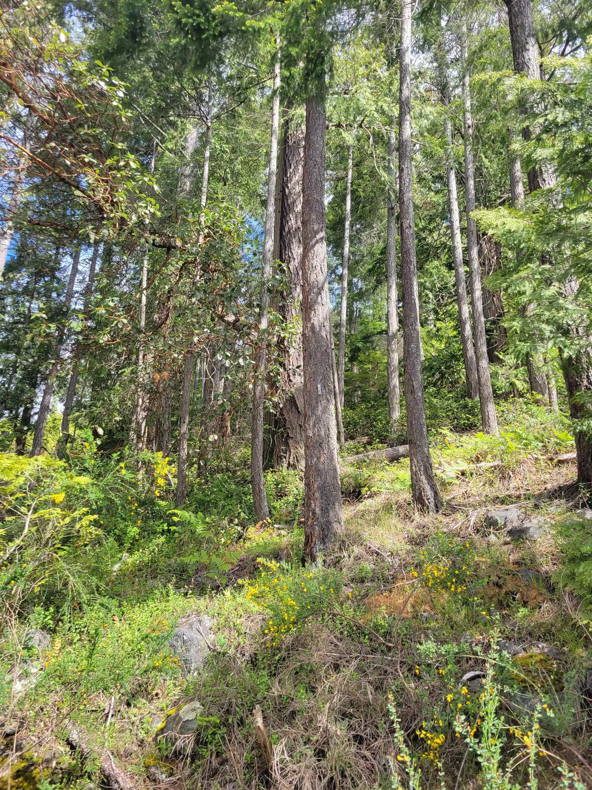 Property at LOT 3 SINCLAIR BAY ROAD, Garden Bay, BC