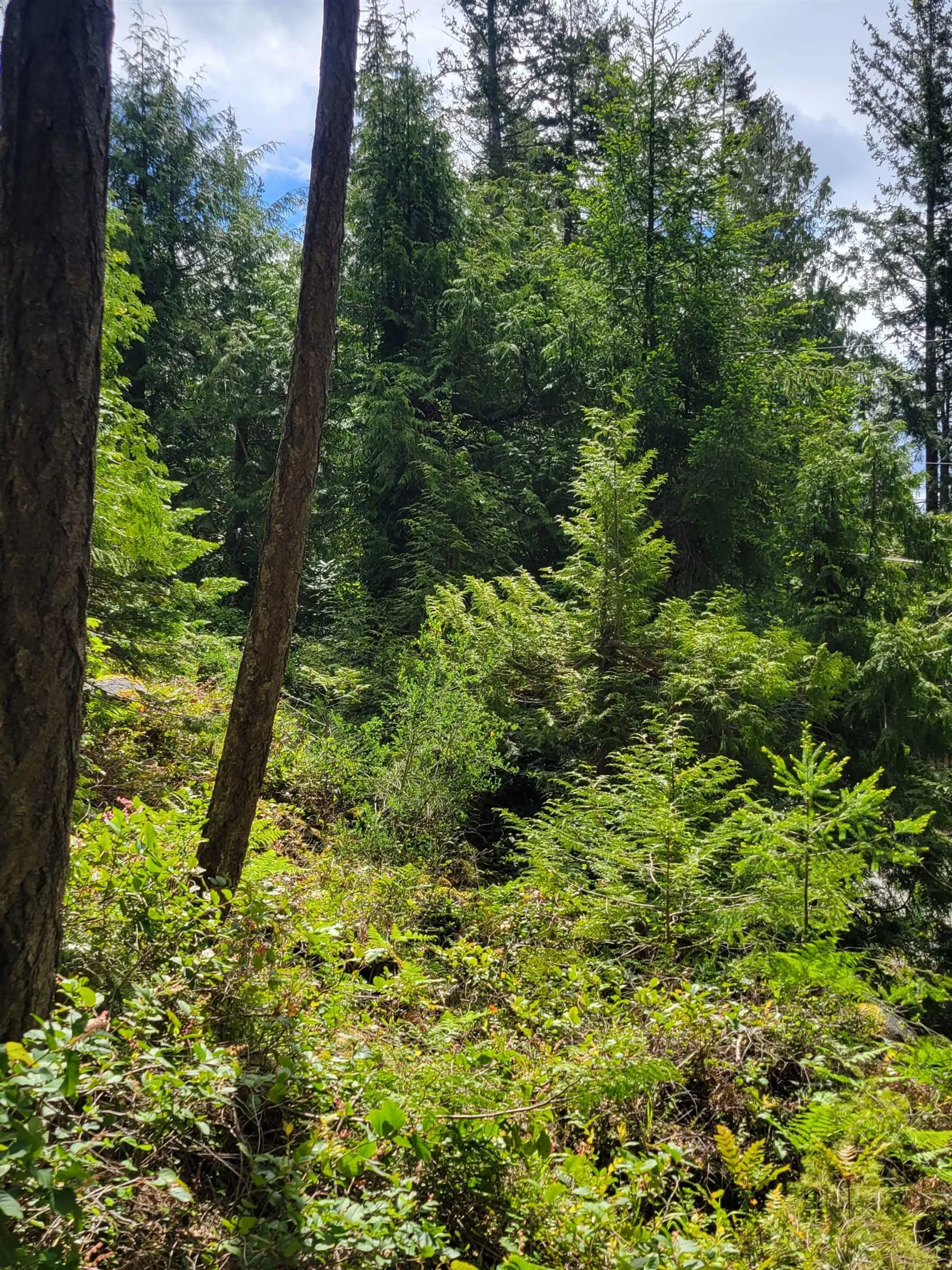 Property at LOT 3 SINCLAIR BAY ROAD, Garden Bay, BC