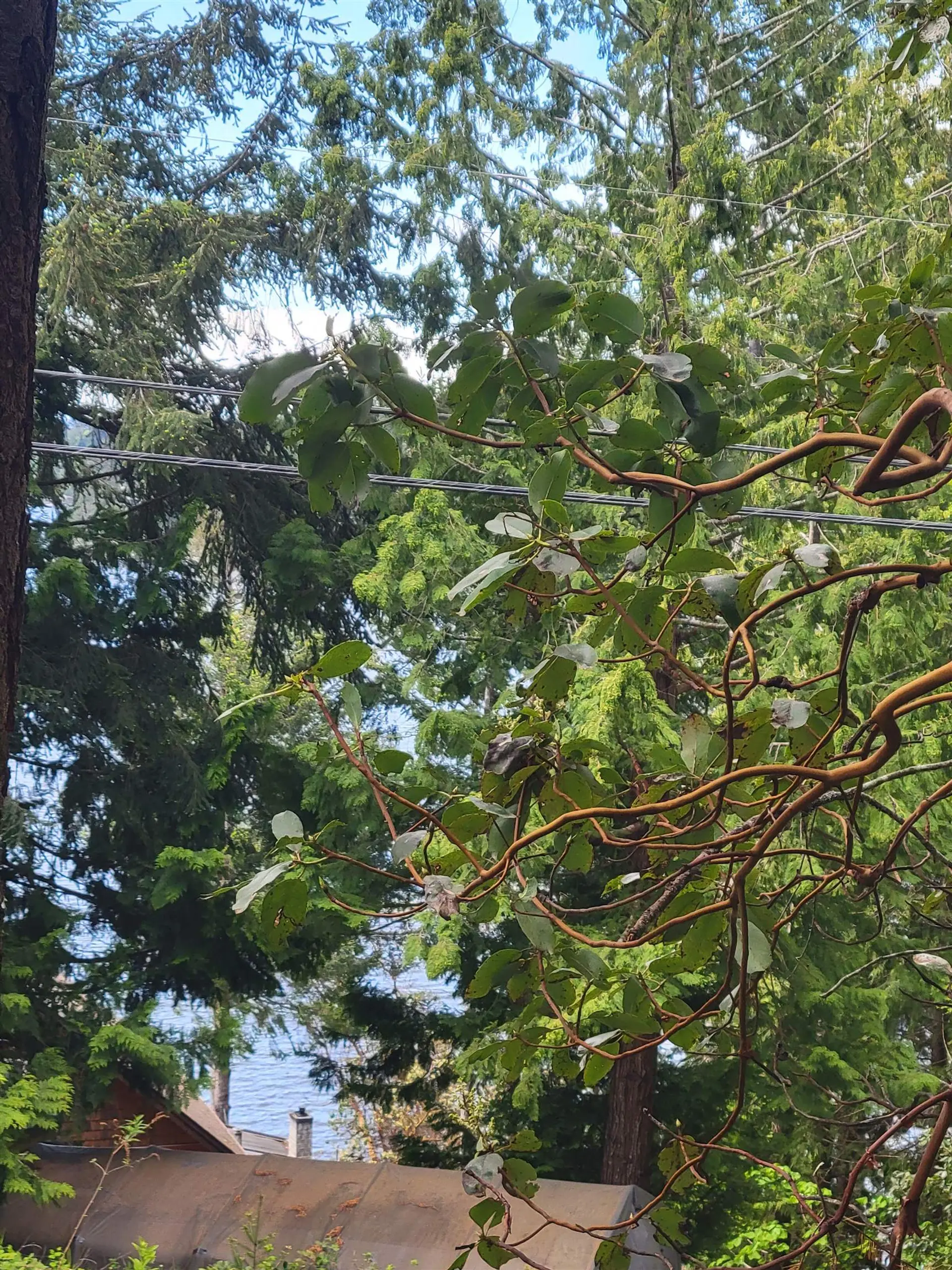 Property at LOT 3 SINCLAIR BAY ROAD, Garden Bay, BC