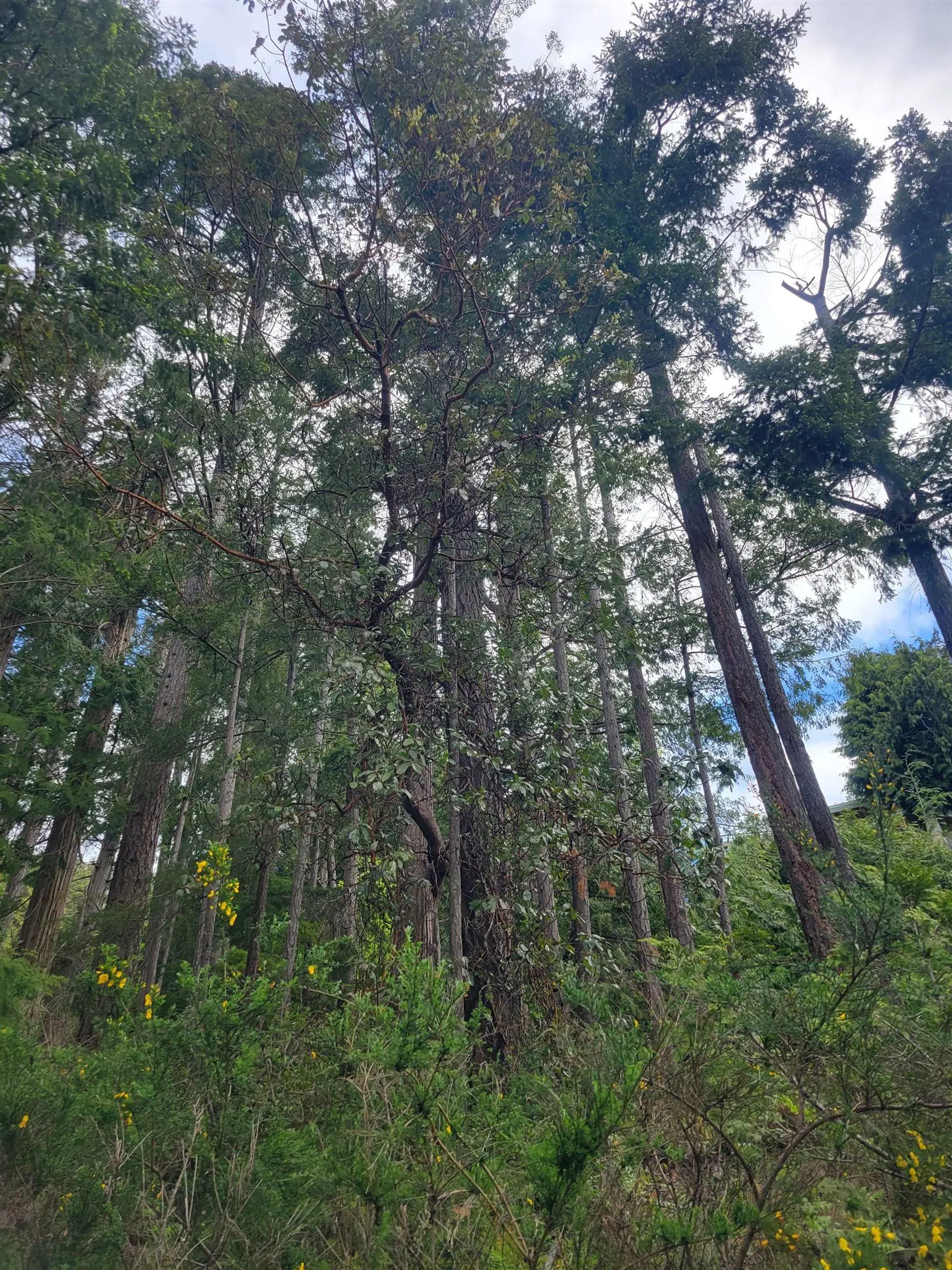 Property at LOT 3 SINCLAIR BAY ROAD, Garden Bay, BC