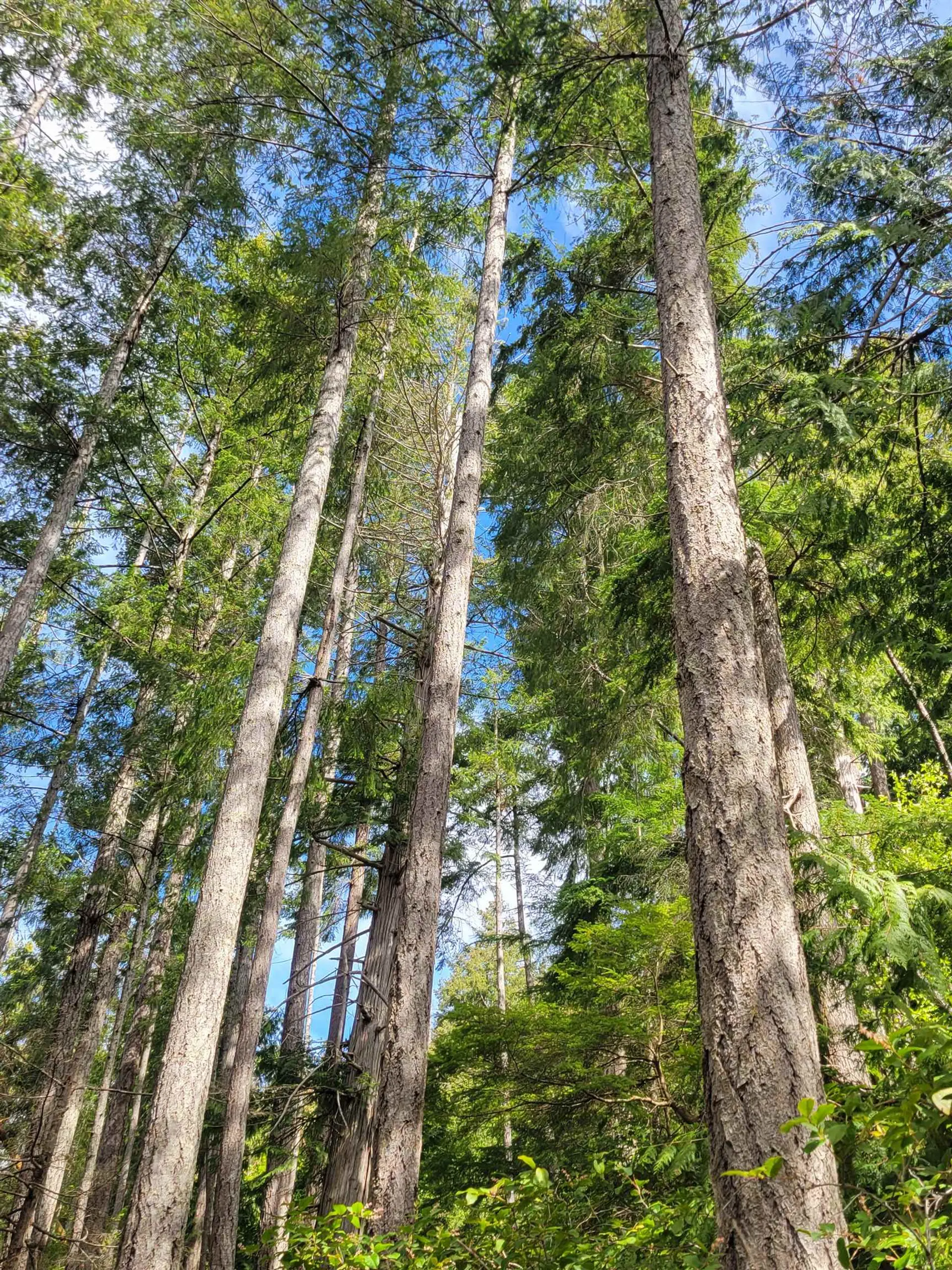 Property at LOT 3 SINCLAIR BAY ROAD, Garden Bay, BC