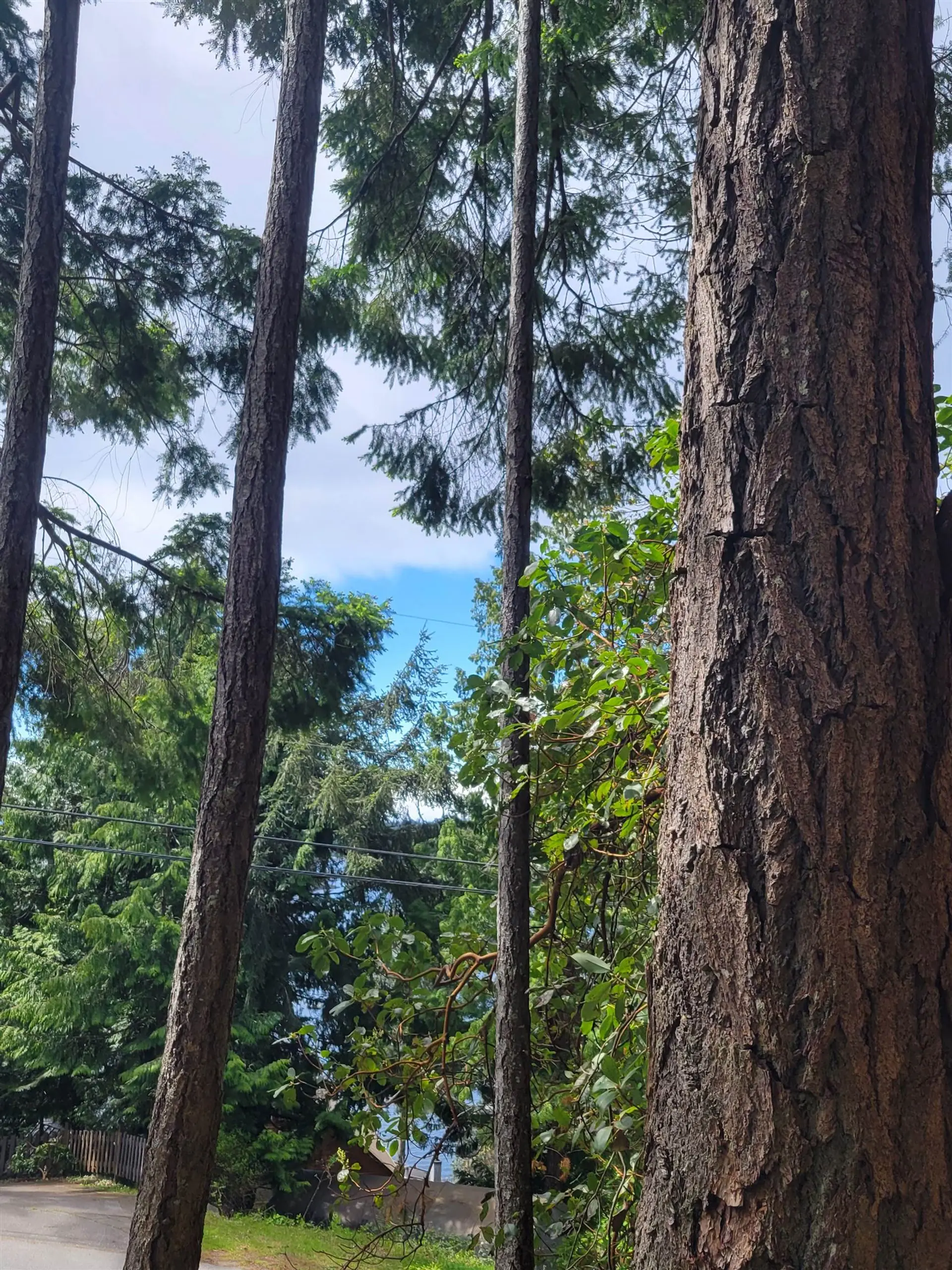 Property at LOT 3 SINCLAIR BAY ROAD, Garden Bay, BC