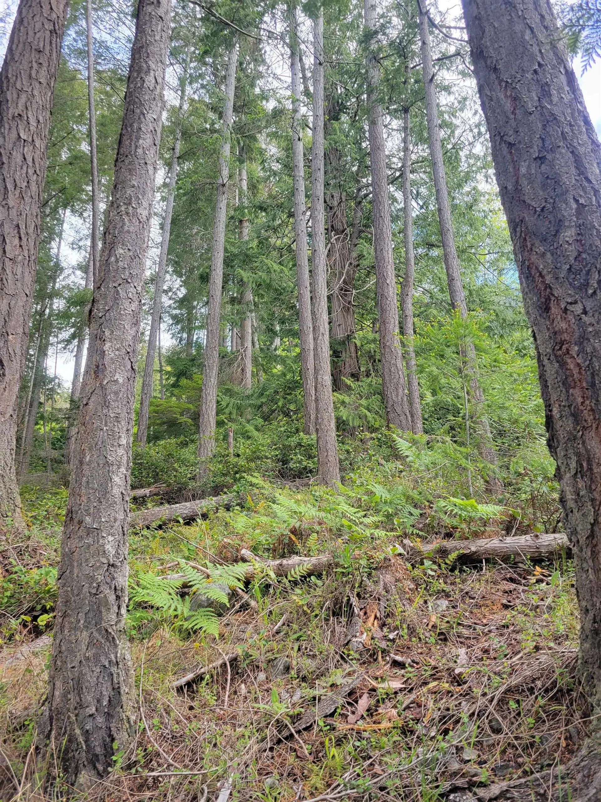 Property at LOT 3 SINCLAIR BAY ROAD, Garden Bay, BC