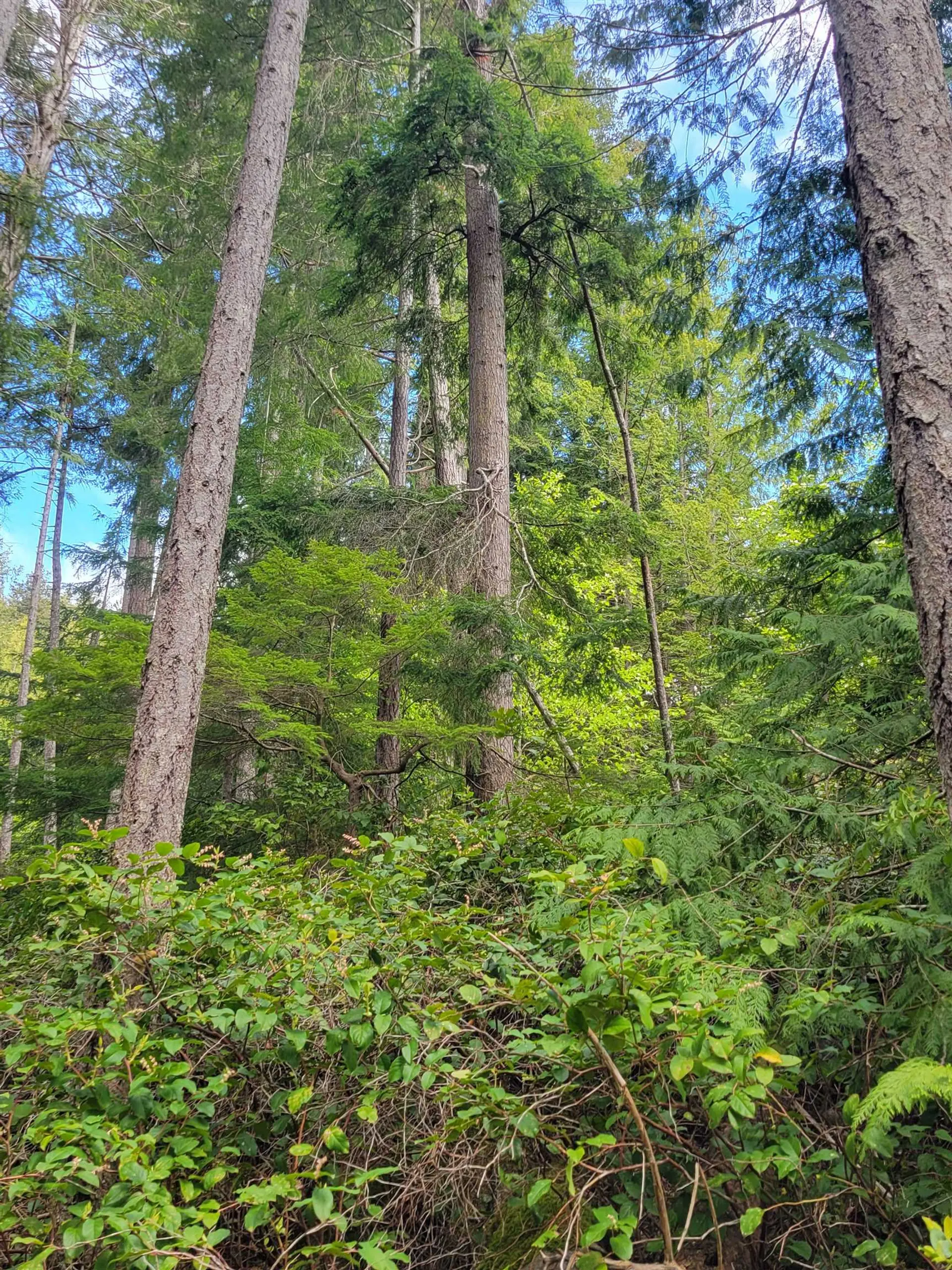 Property at LOT 3 SINCLAIR BAY ROAD, Garden Bay, BC