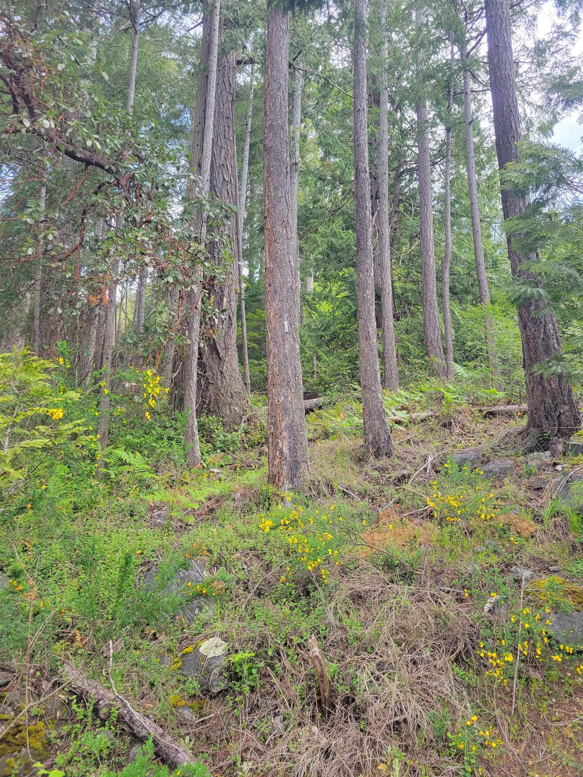 Property at LOT 3 SINCLAIR BAY ROAD, Garden Bay, BC