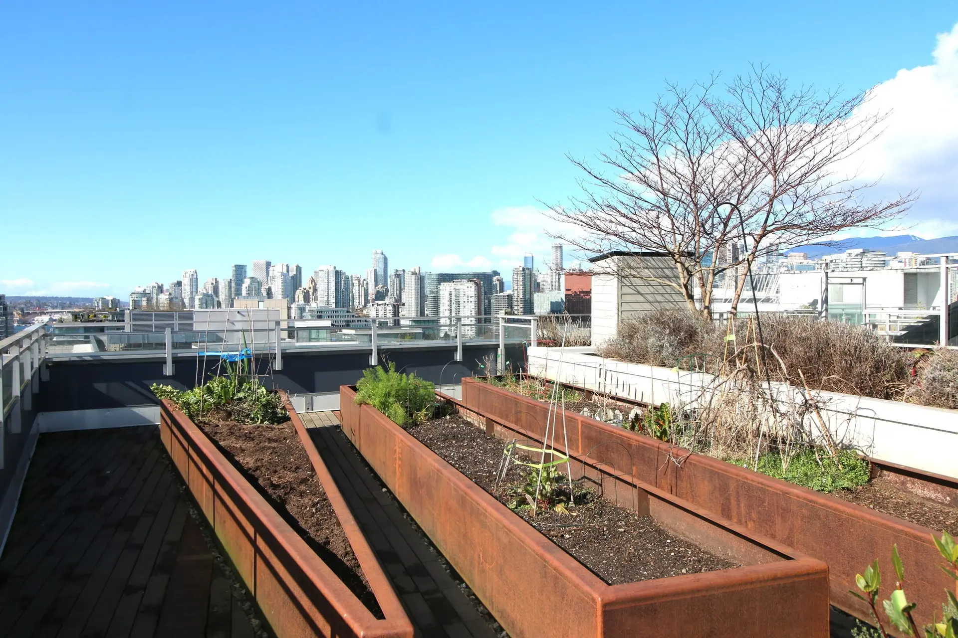 Property at 125 E 1ST AVENUE, Vancouver, BC