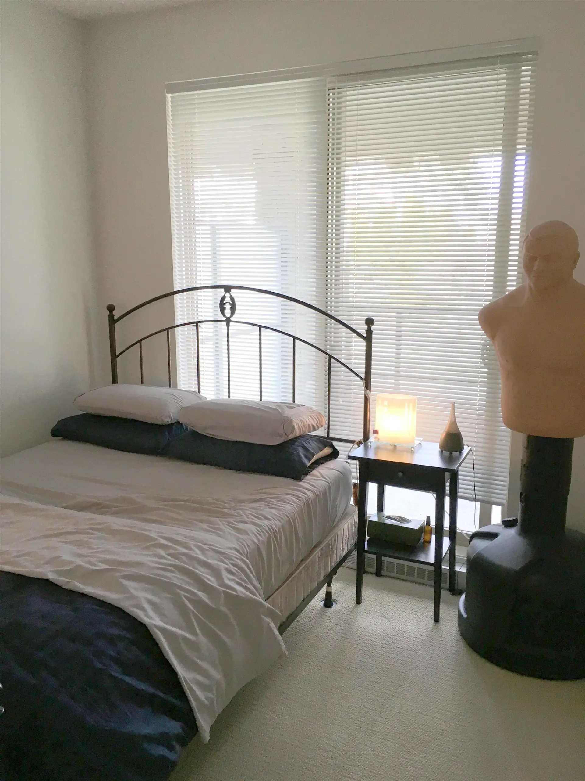 Property at #213 250 FRANCIS WAY, New Westminster, BC