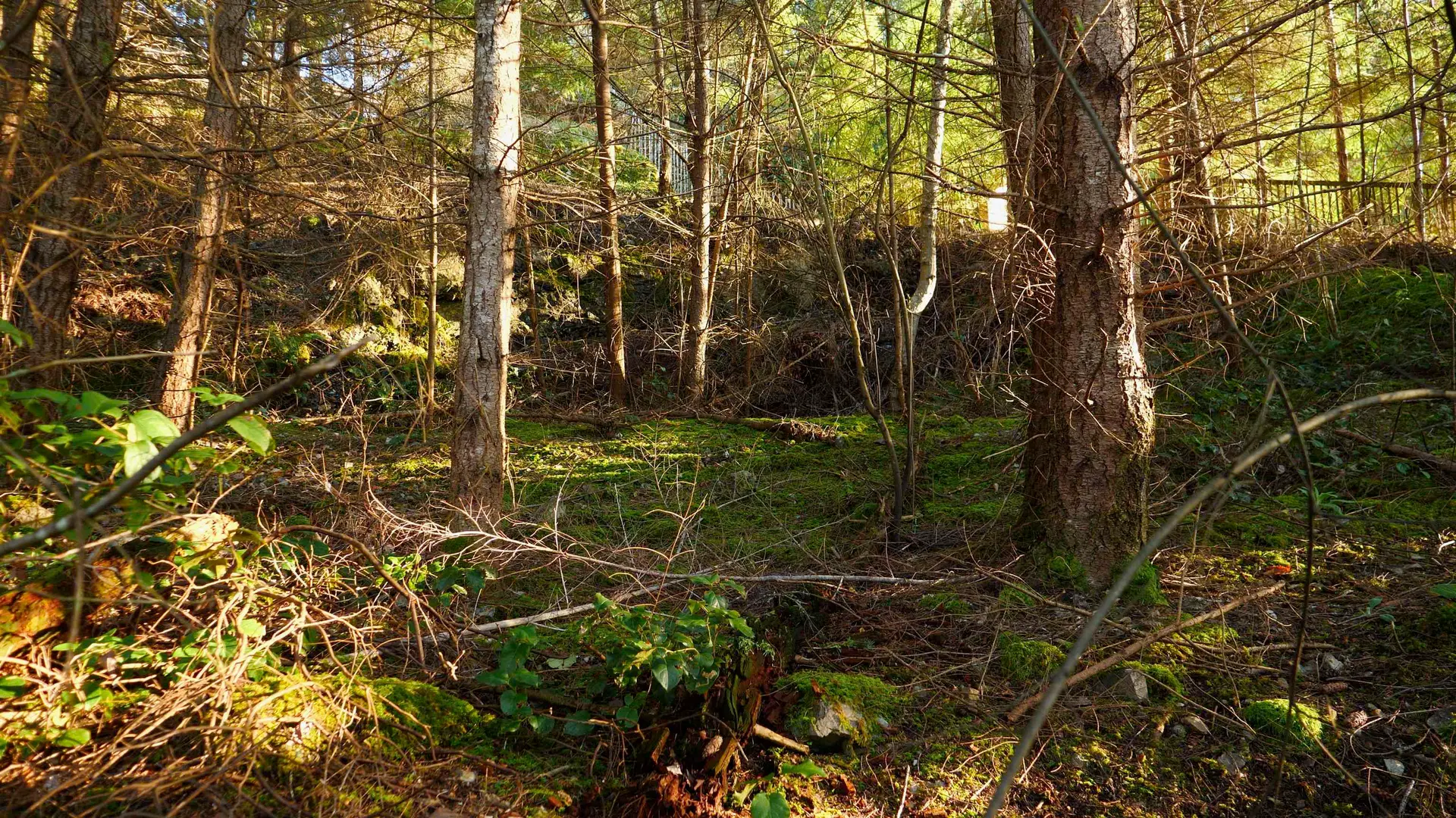 Property at 1664 WHITESAILS DRIVE, Bowen Island, BC