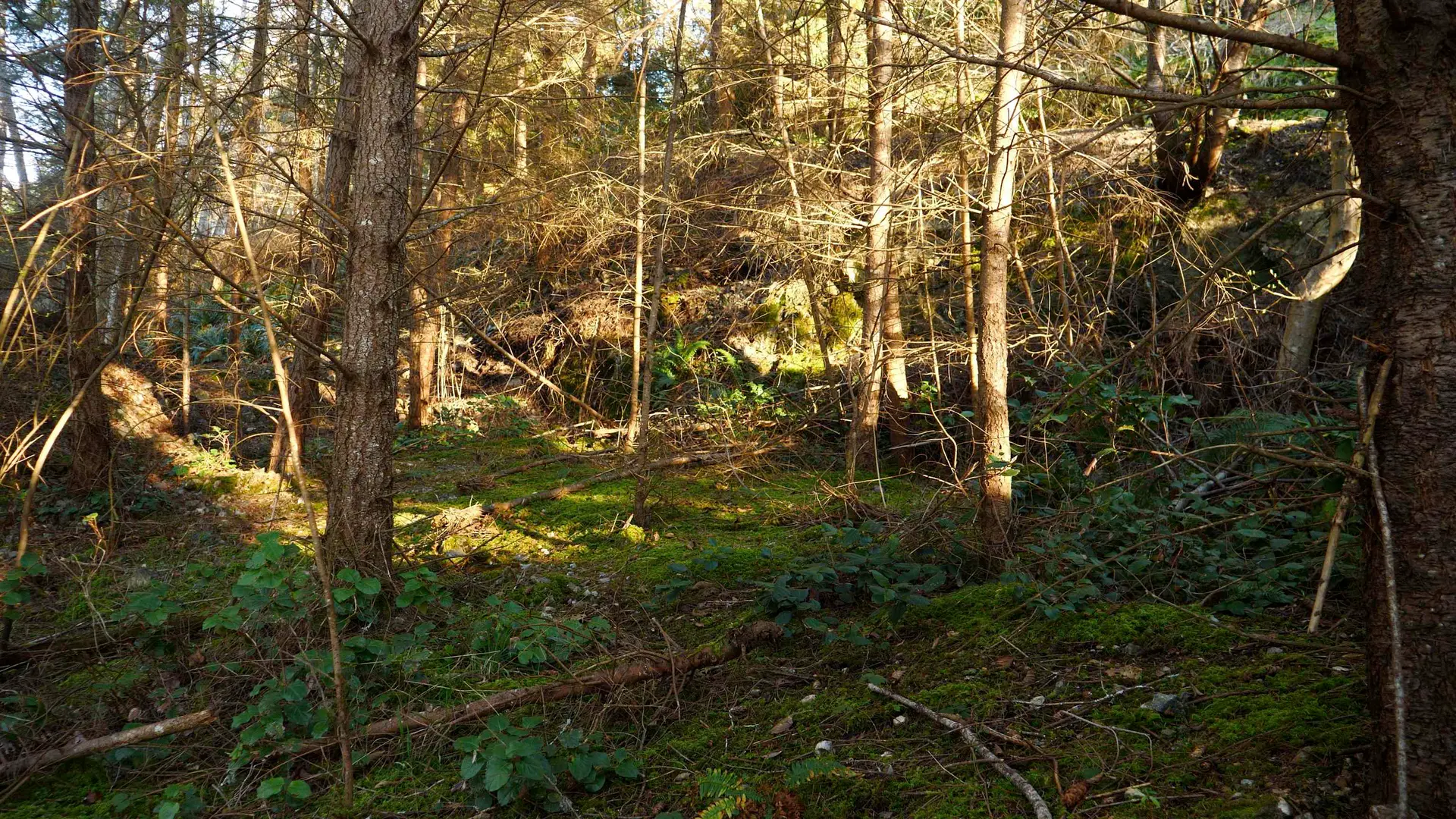 Property at 1664 WHITESAILS DRIVE, Bowen Island, BC