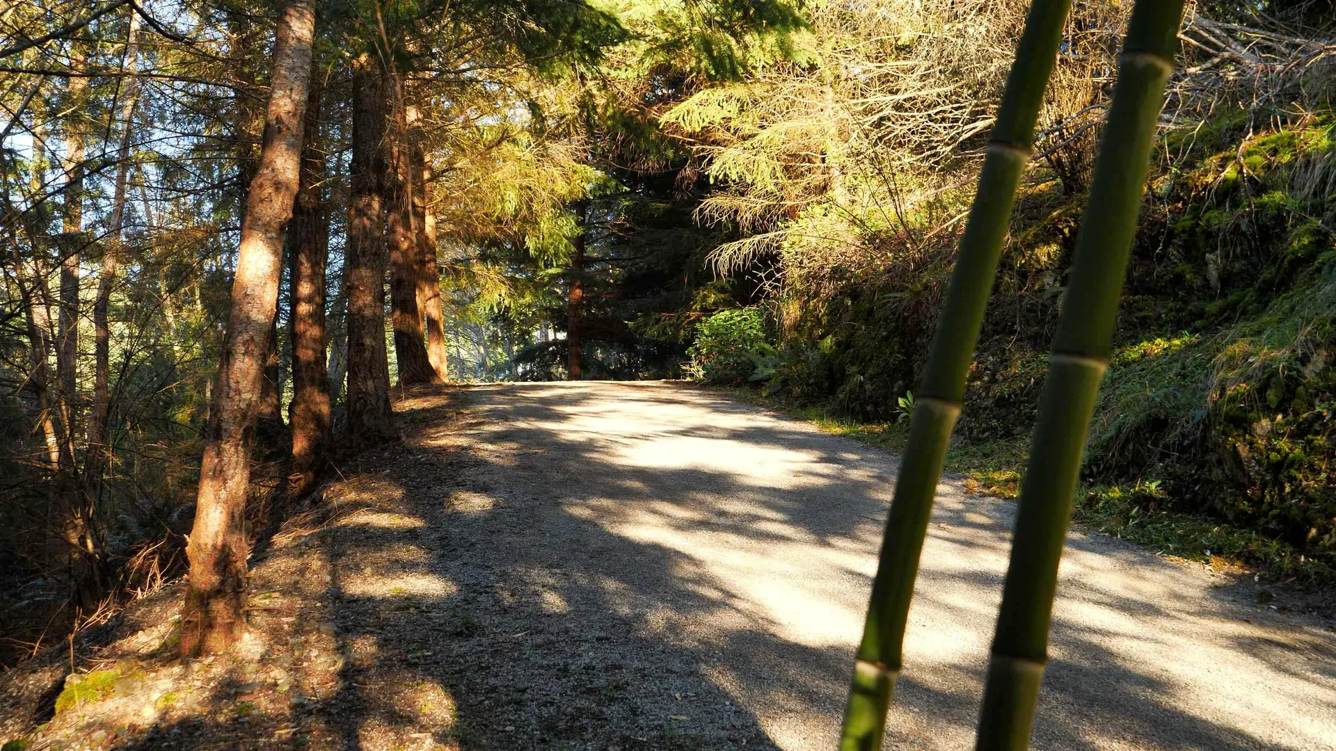 Property at 1664 WHITESAILS DRIVE, Bowen Island, BC