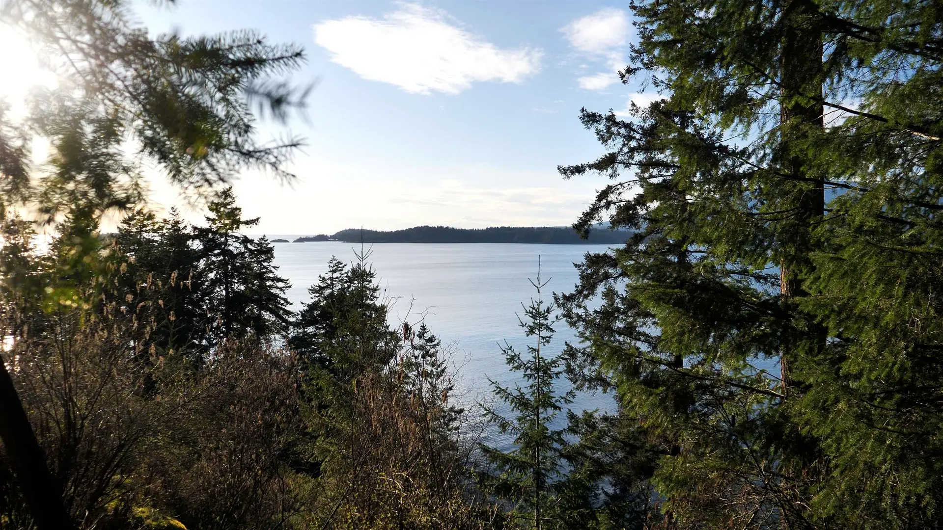 Property at 1664 WHITESAILS DRIVE, Bowen Island, BC