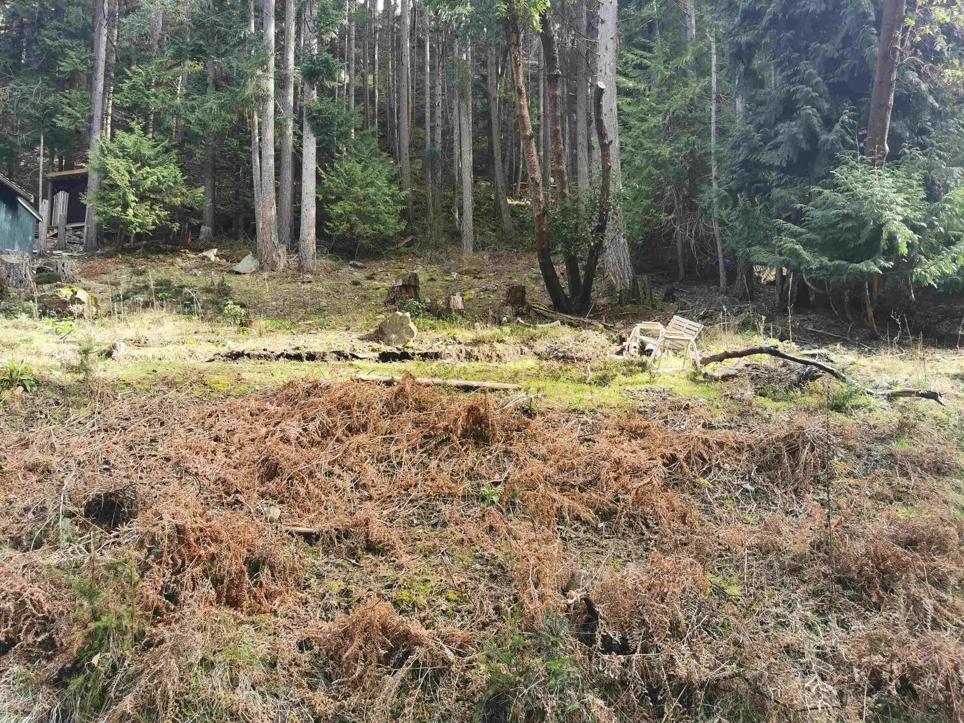 Property at LOT 25 WOOD DALE DRIVE, Mayne Island, BC
