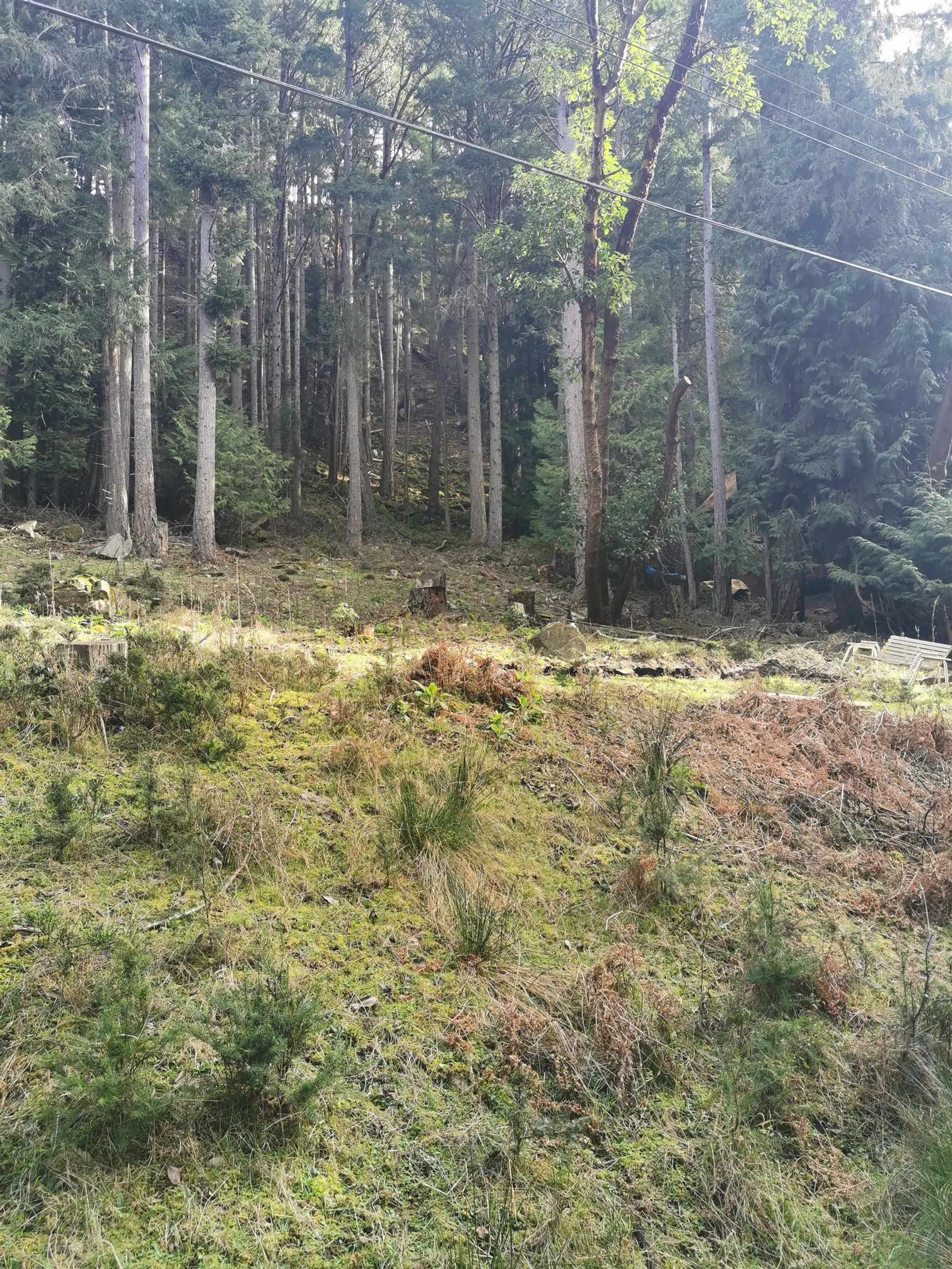 Property at LOT 25 WOOD DALE DRIVE, Mayne Island, BC