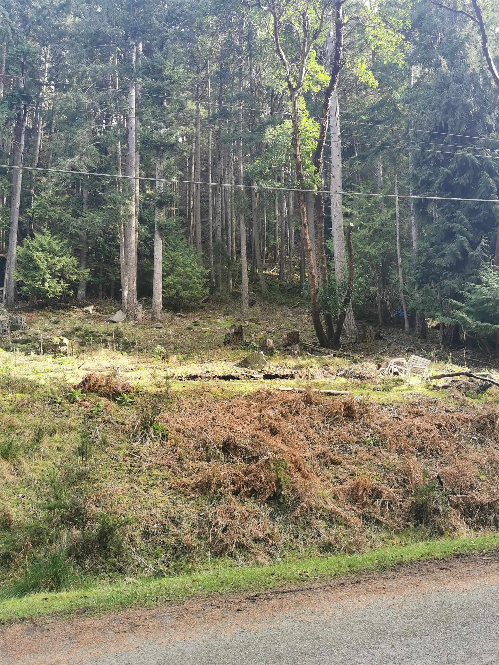 Property at LOT 25 WOOD DALE DRIVE, Mayne Island, BC