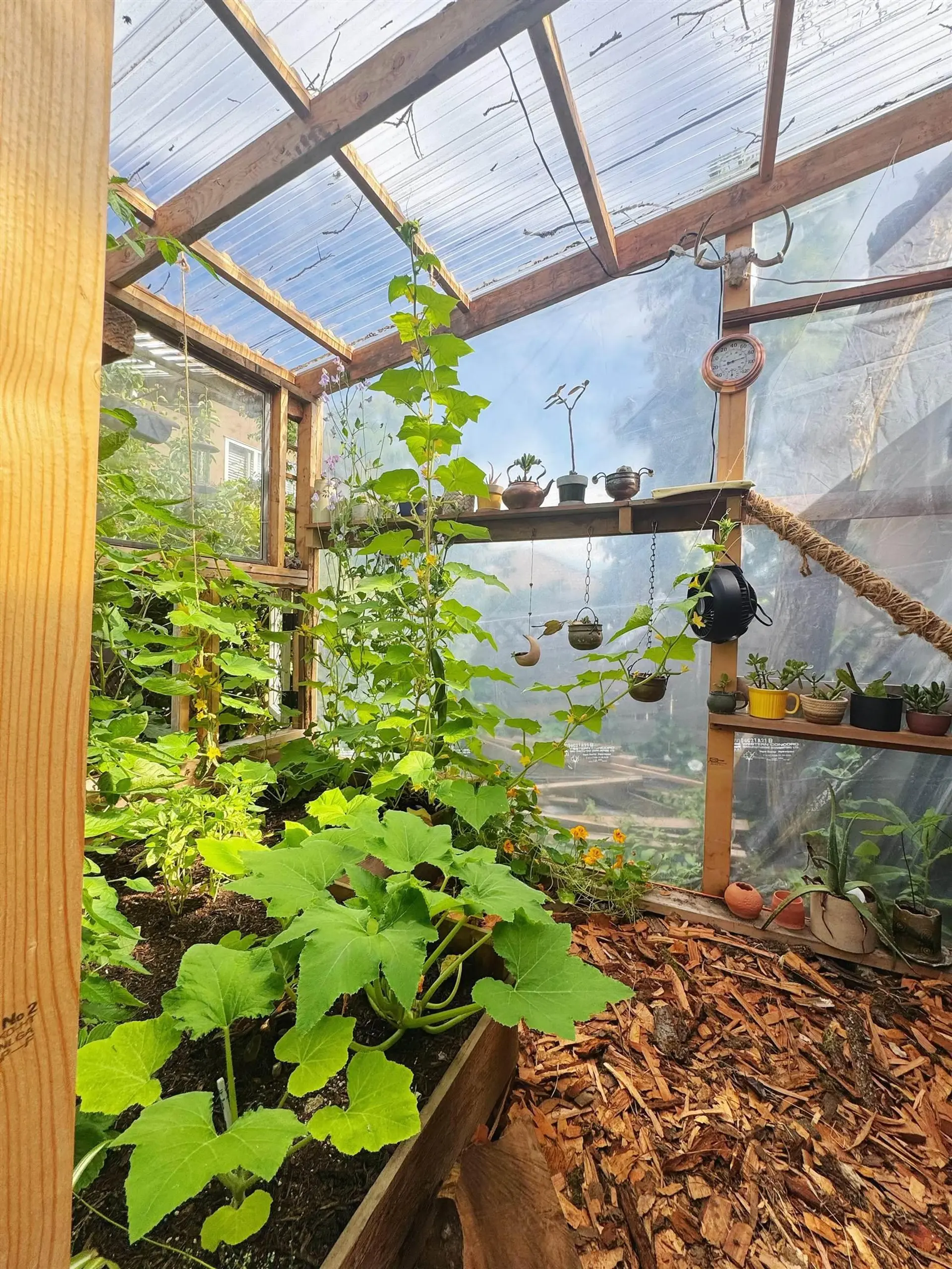 Property at 5569 CULLODEN STREET, Vancouver, BC