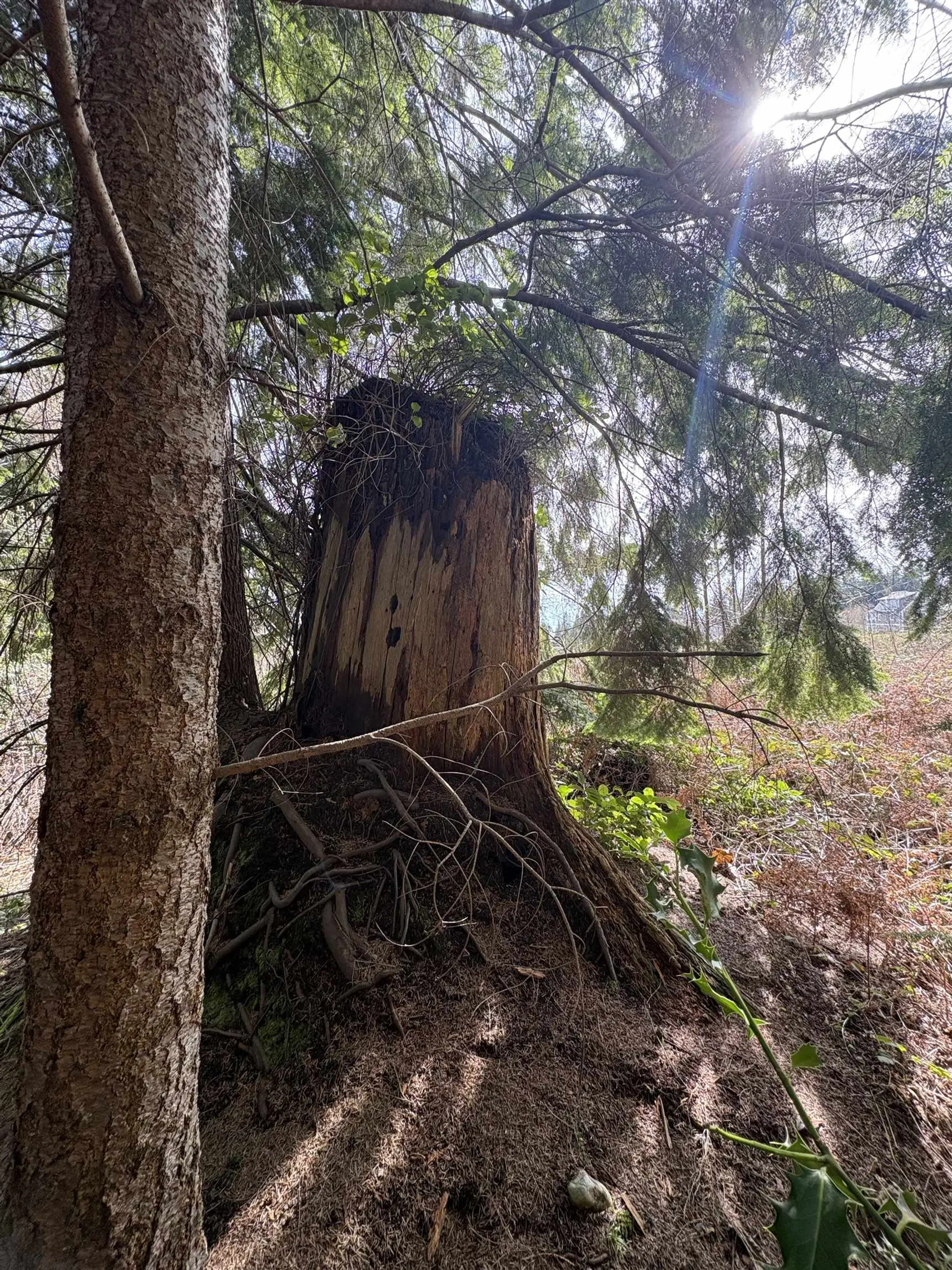 Property at LOT D WOODLAND AVENUE, Gibsons, BC