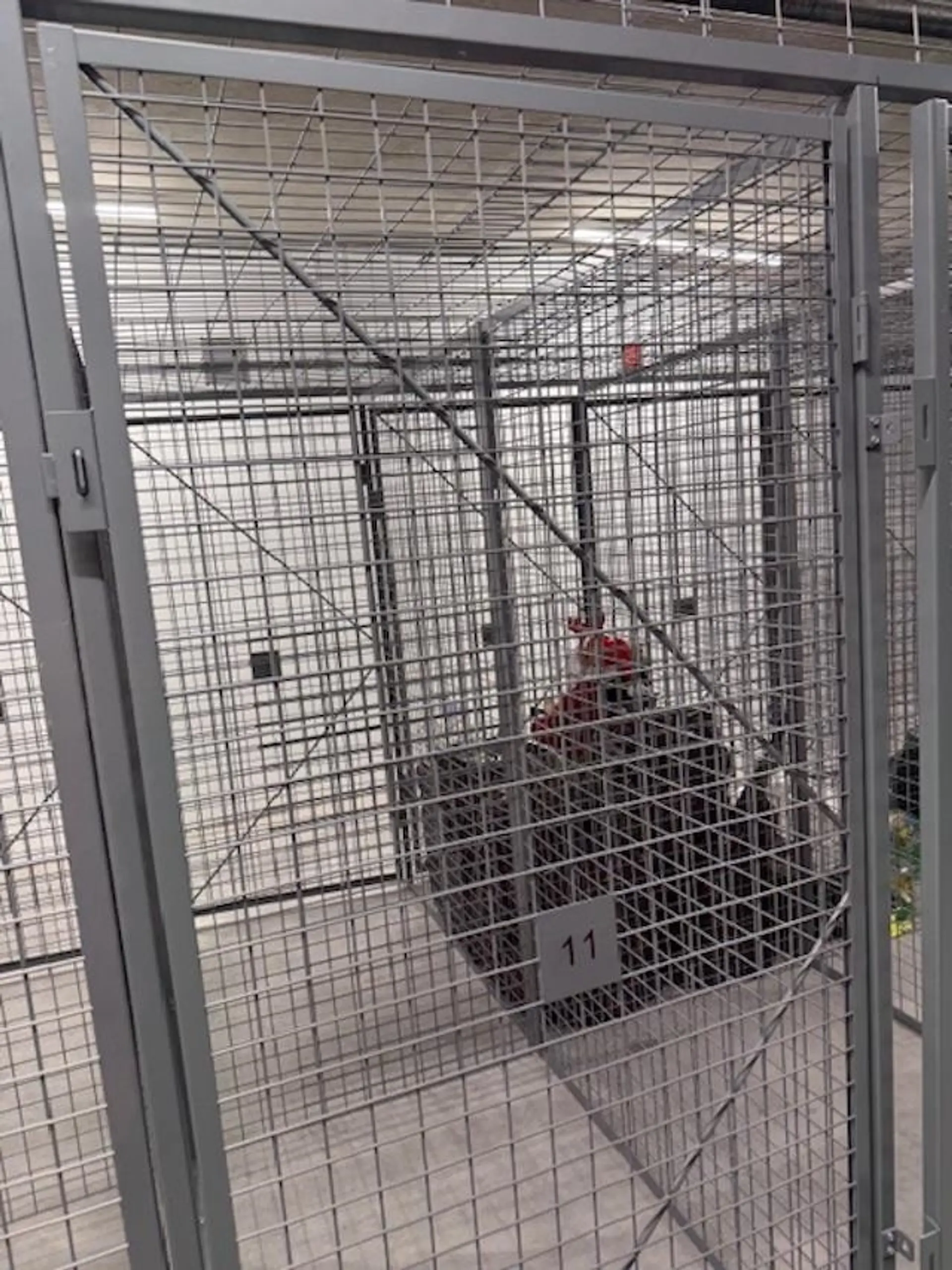 Property at #606 7936 206TH STREET, Langley, BC