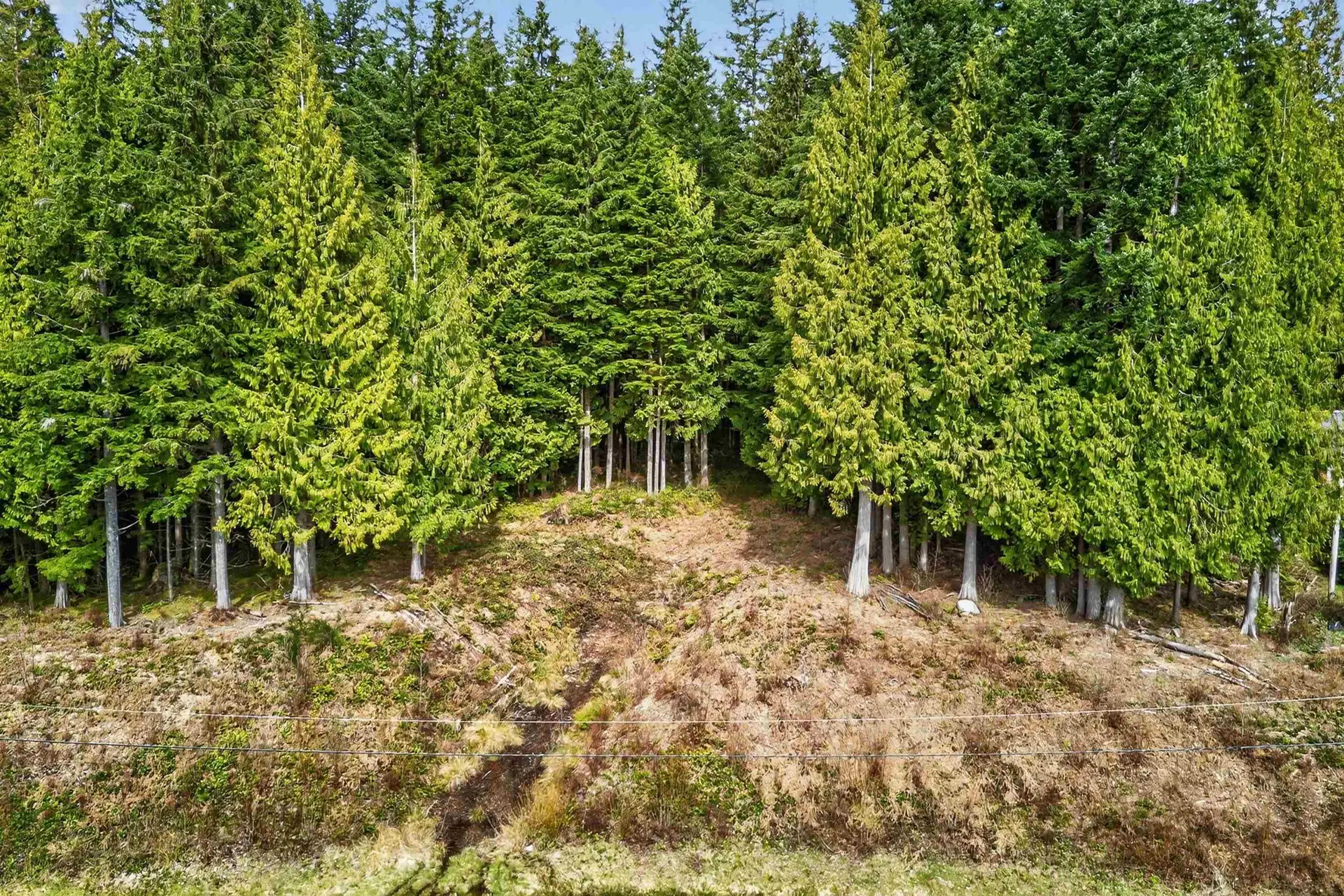 Property at 27629 128 AVENUE, Maple Ridge, BC