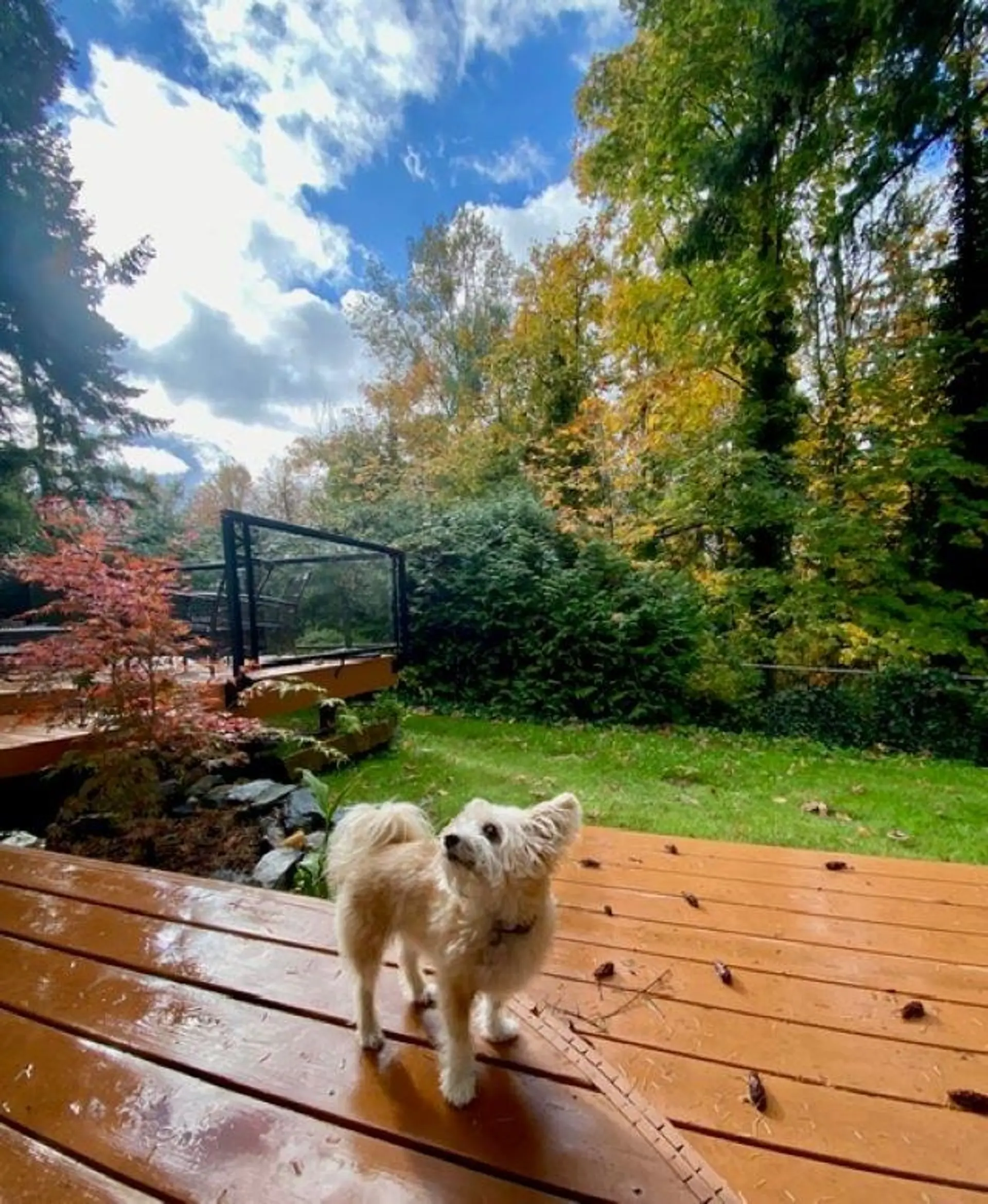 Property at 10987 COLLINGS PLACE, Delta, BC