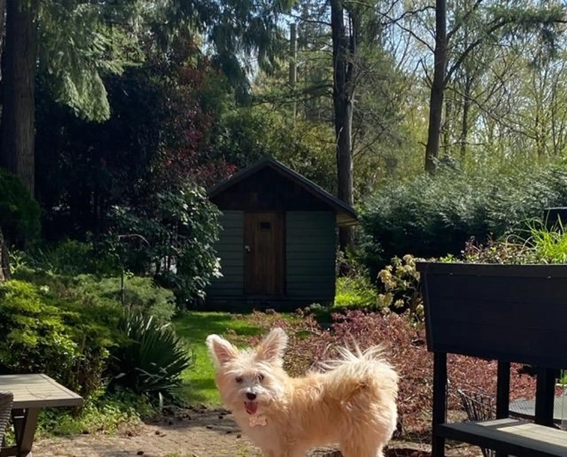 Property at 10987 COLLINGS PLACE, Delta, BC