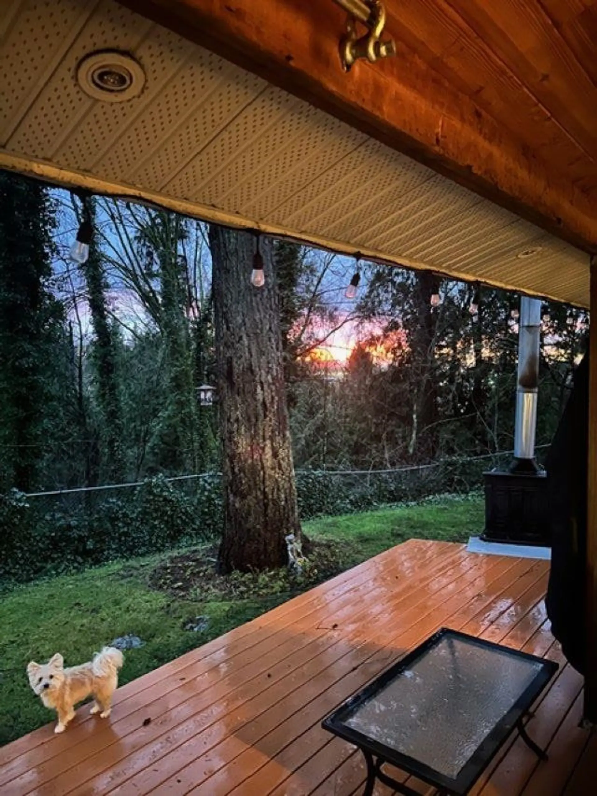 Property at 10987 COLLINGS PLACE, Delta, BC