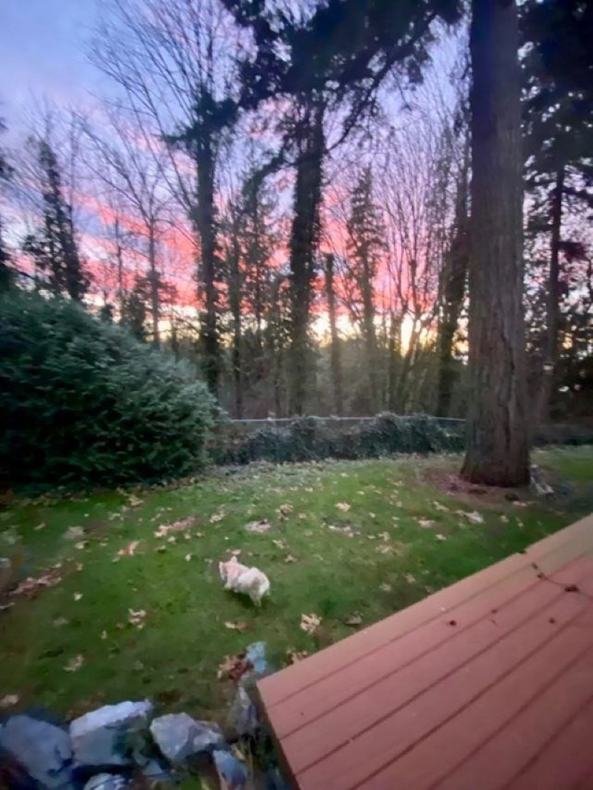 Property at 10987 COLLINGS PLACE, Delta, BC